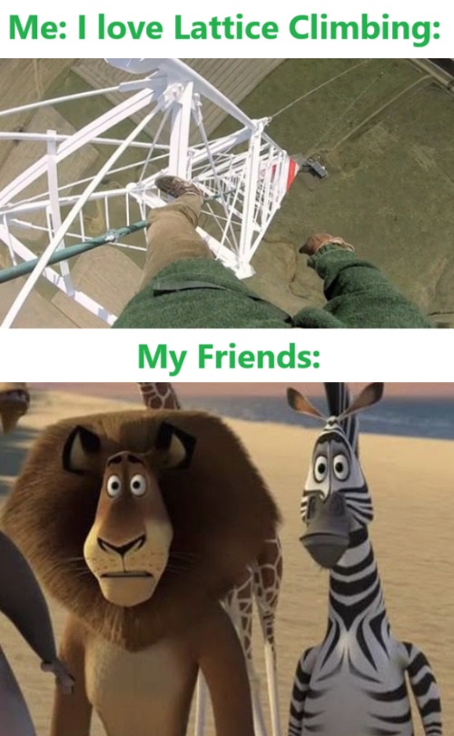 Madagascar Adventures: Featuring Alex and Marty