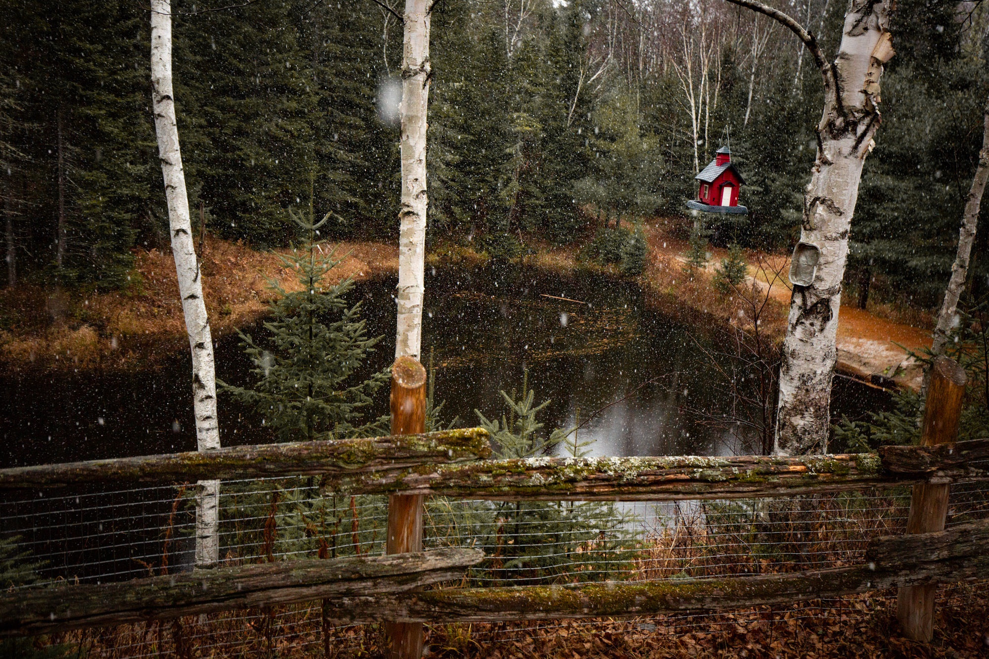 I found my paradise in 100 acres of serene Quebec wilderness, living alongside emus, mini horses, goats, and more in a cozy lakeside cabin...