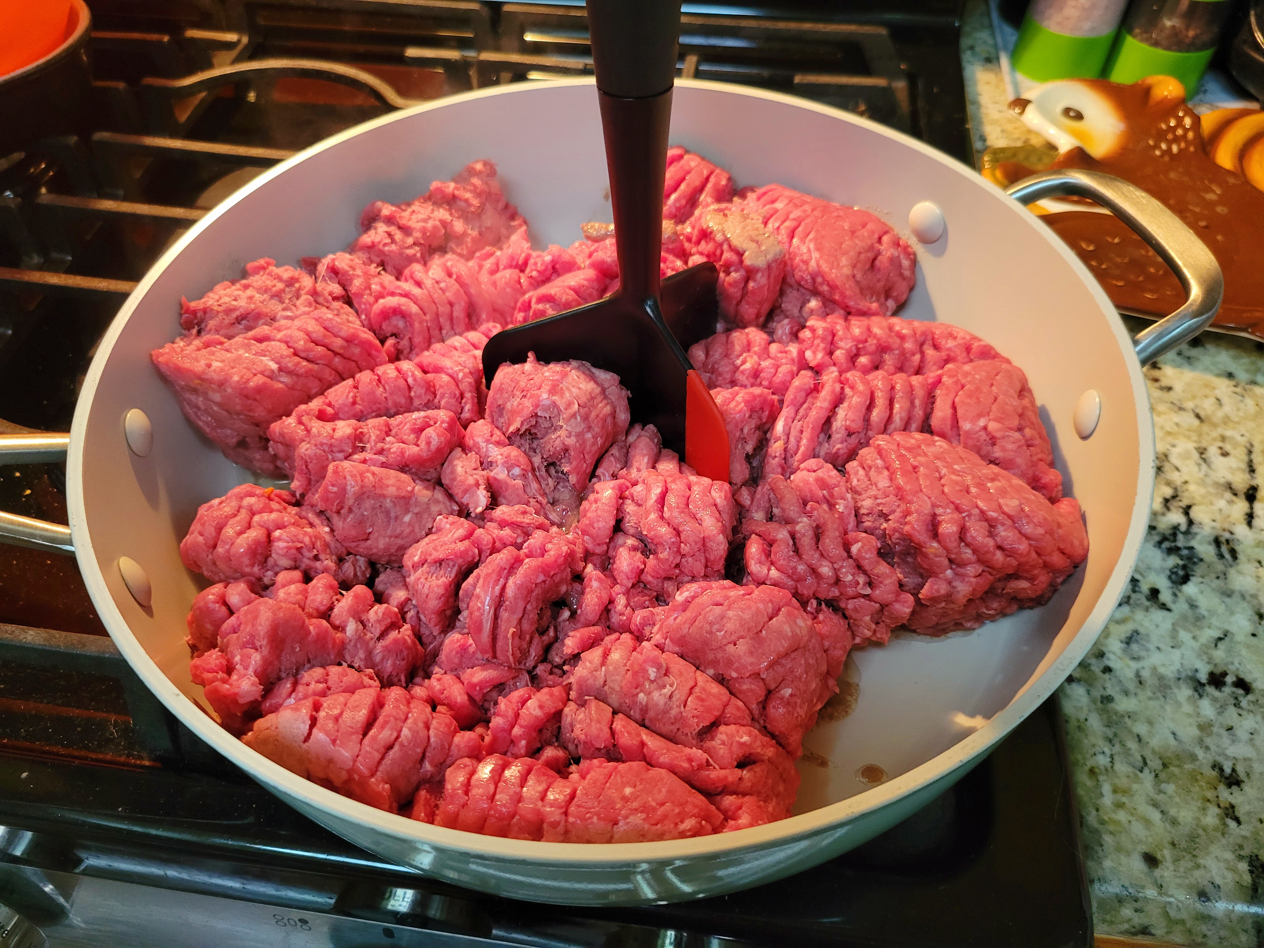 Crafting Homemade Dog Food for Tiger Lilly and Poison Ivy