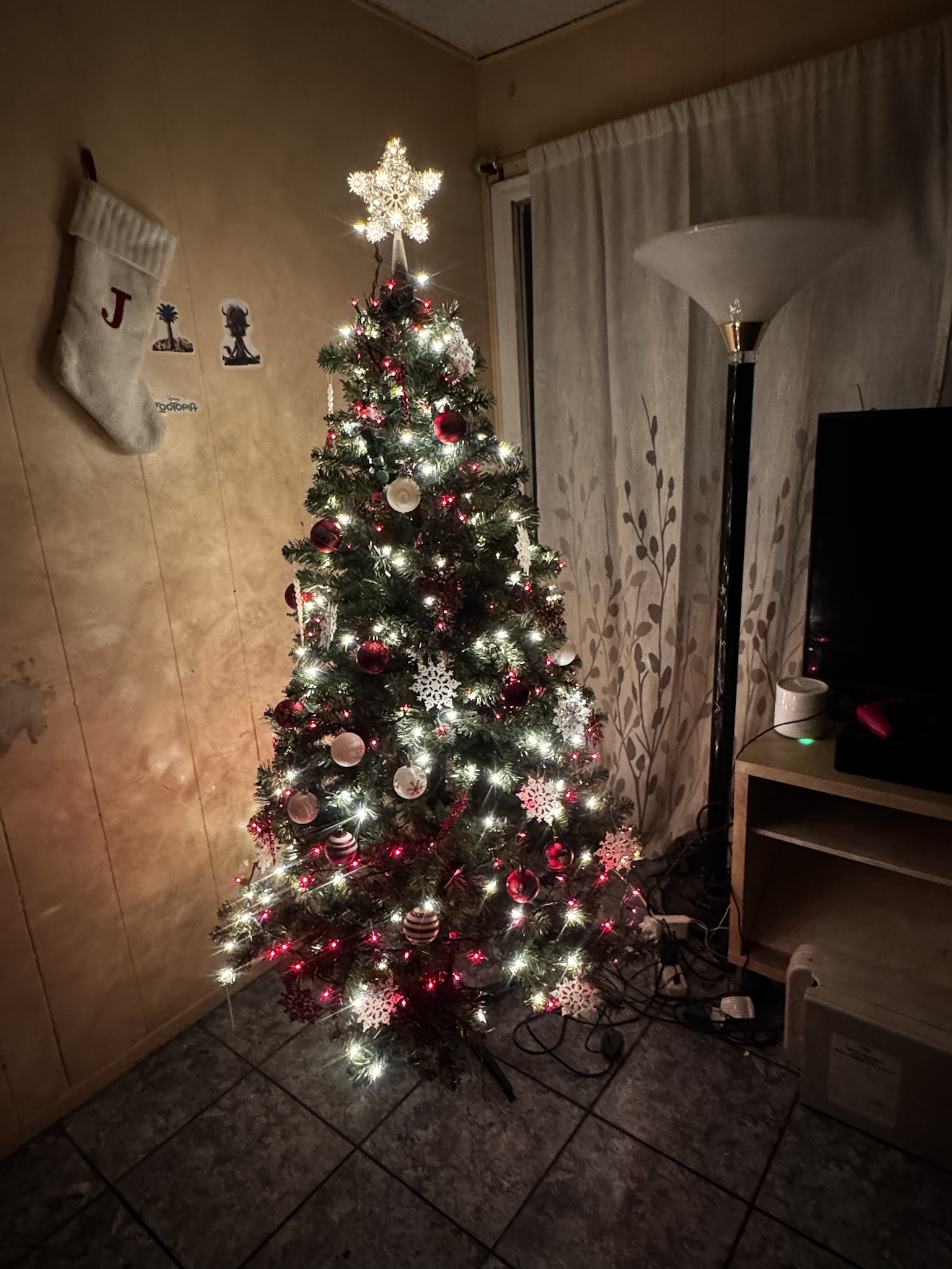 My Beautiful Red and White Tree