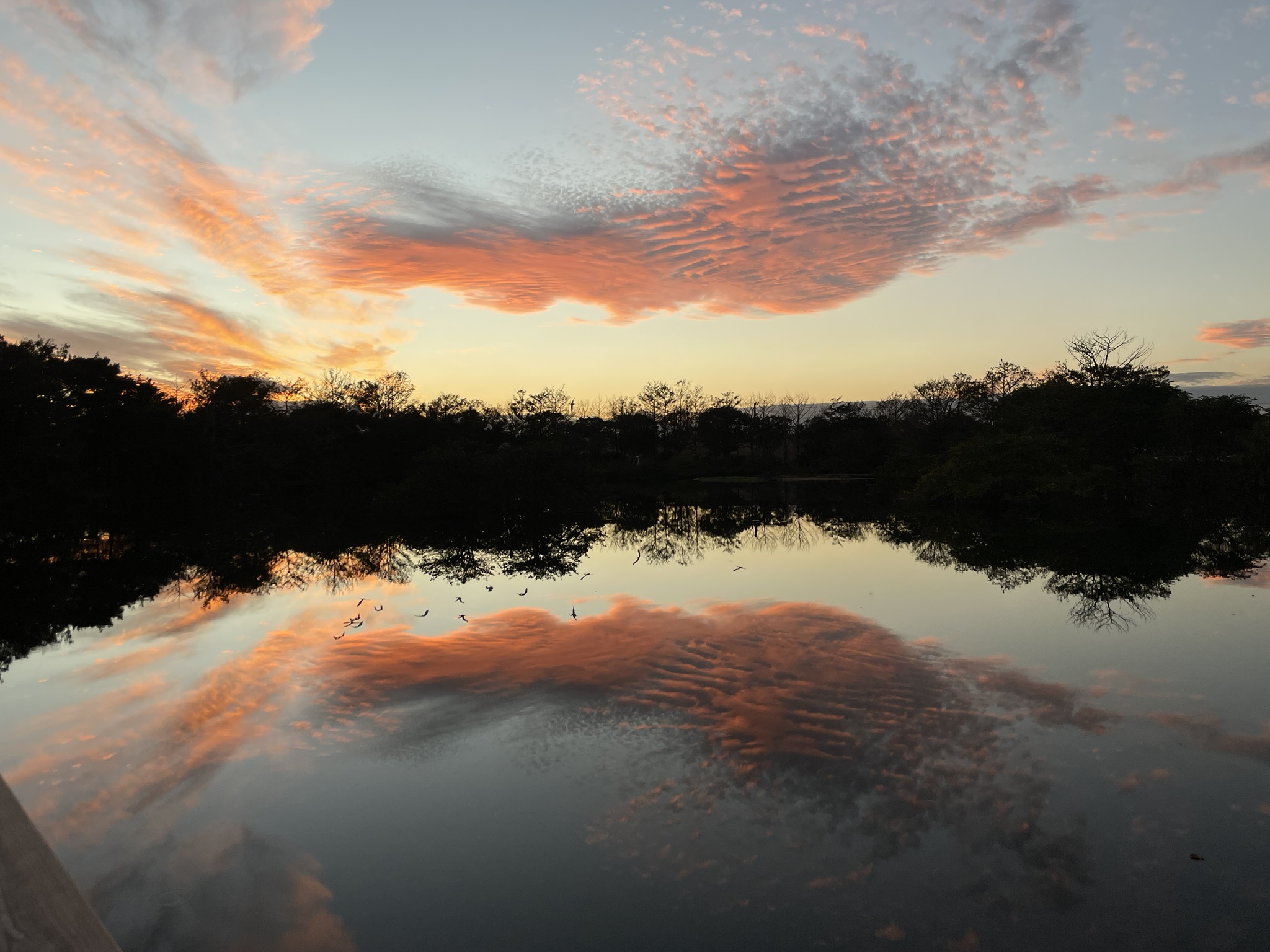 It's My Cake Day! After 15 Minutes of Struggle, Here’s a Random Sunrise Instead