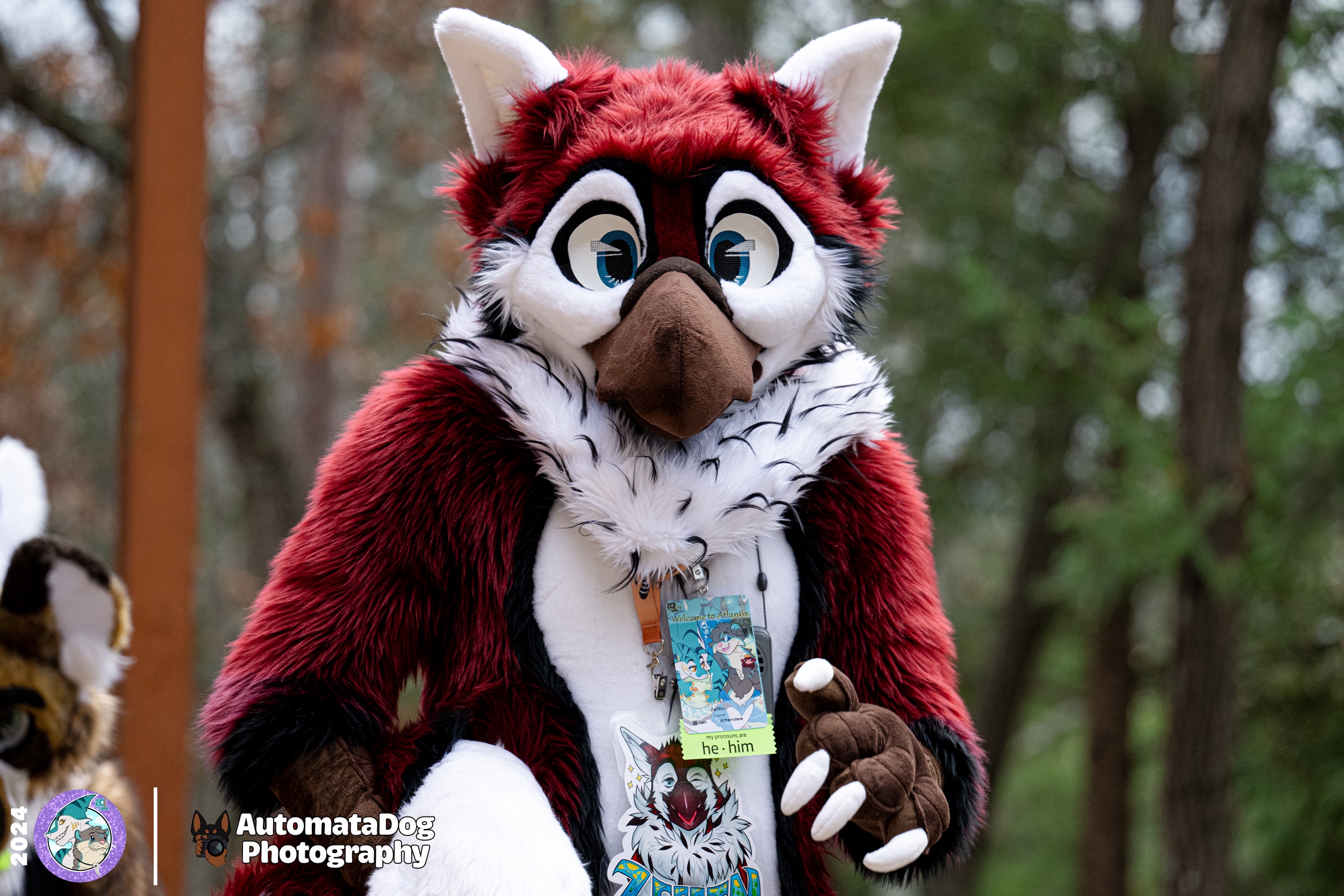 Furry Photography Daily Snapshot - Day 442