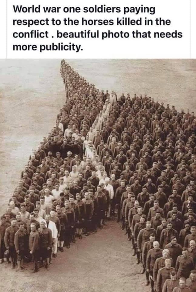 Paying Tribute with Heartfelt Respect