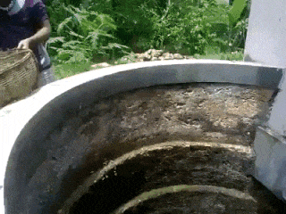 The Ultimate Guide to Saving Cats: Parts 1 & 2