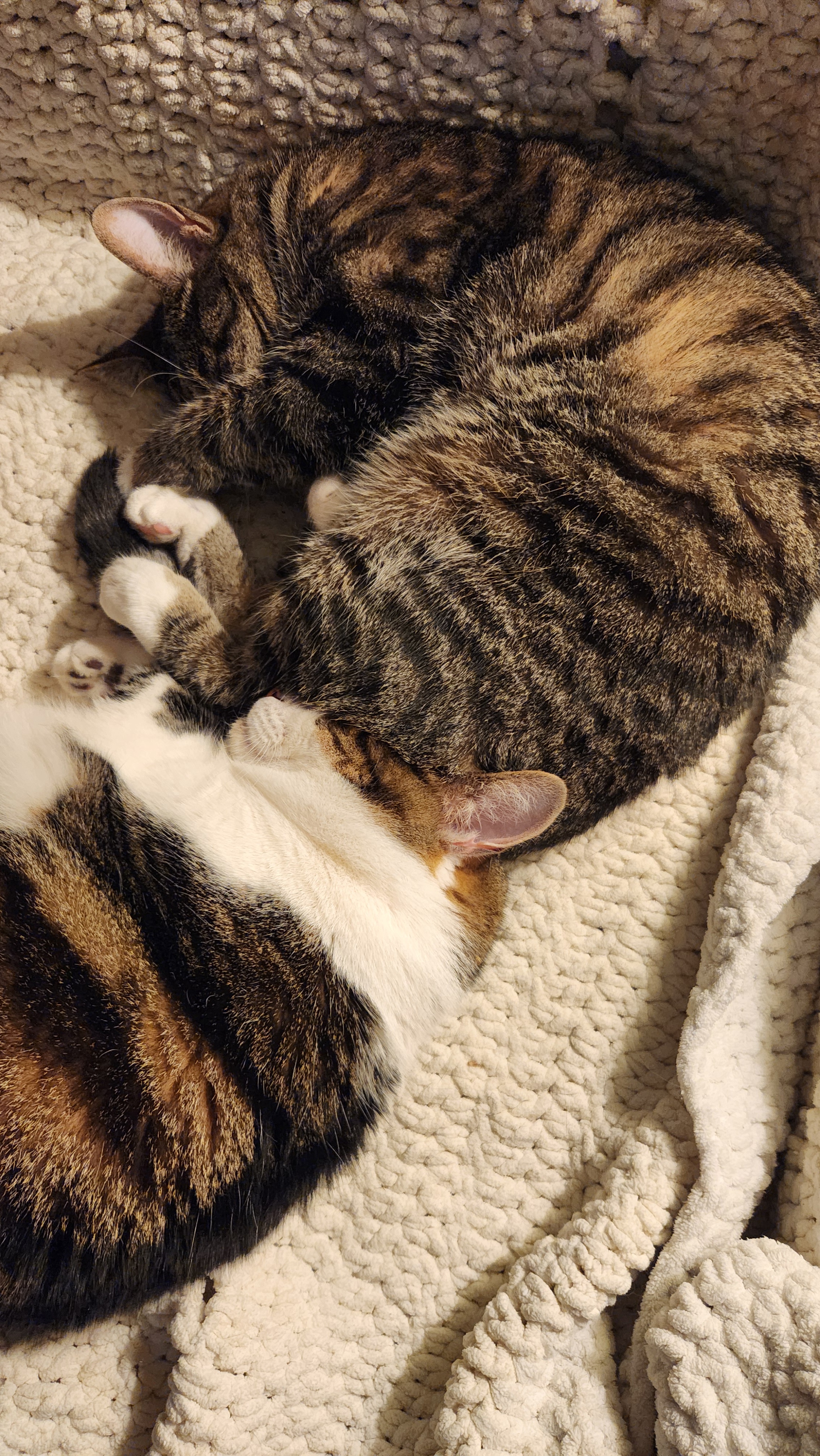 Nothing like a warm butt to brighten your day!
