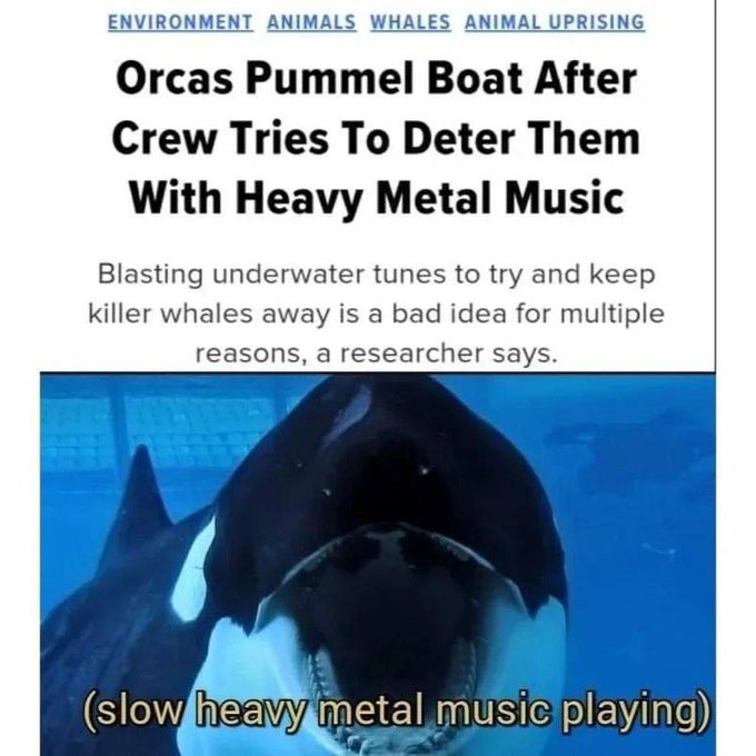 Just Gets Them All Fired Up