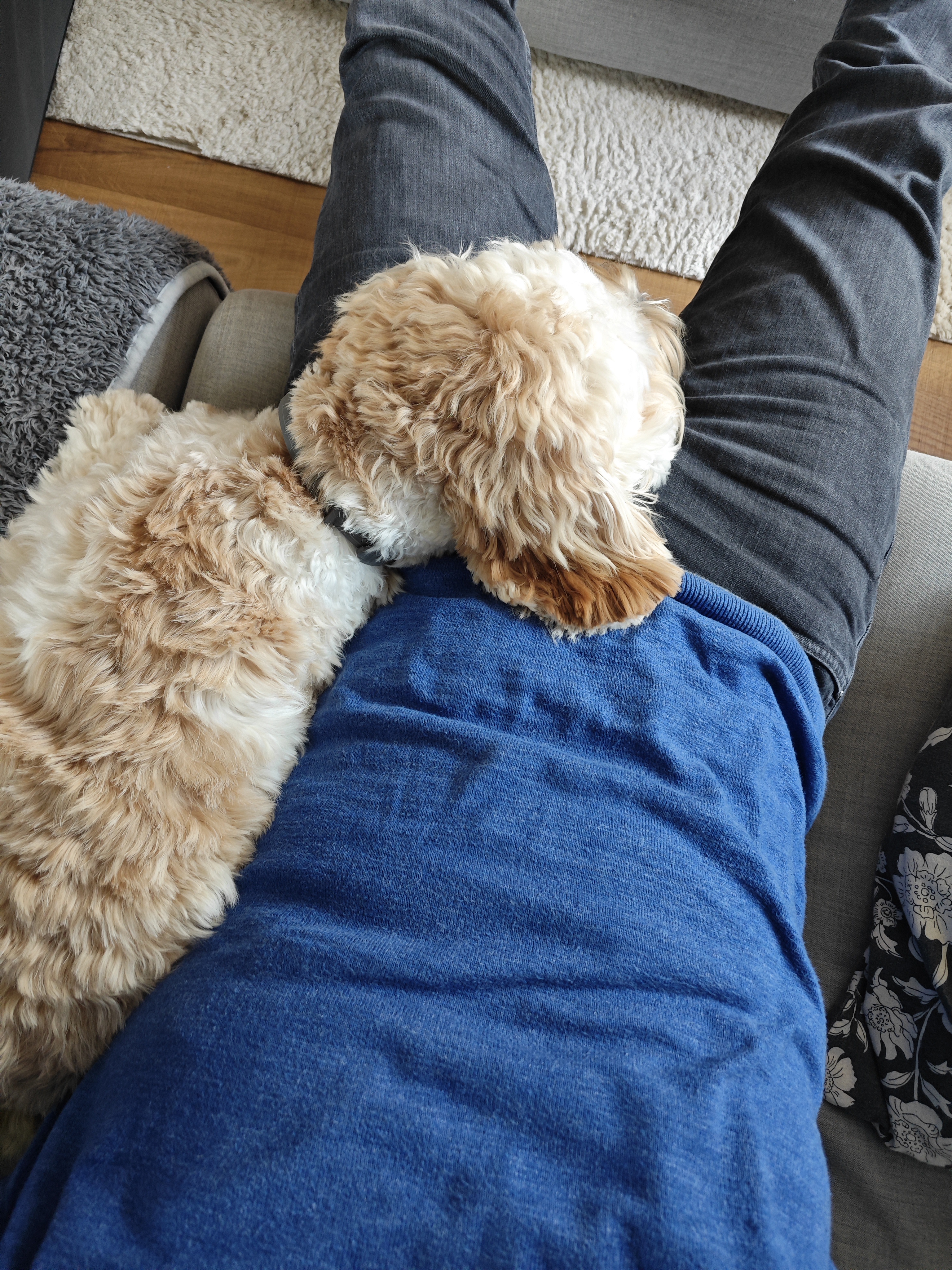 Embracing the Chill of a Lazy Sunday Afternoon