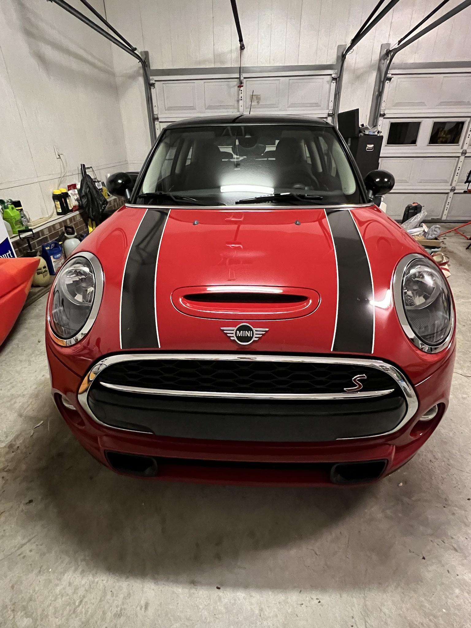 Spread Kindness: My Love for Mini