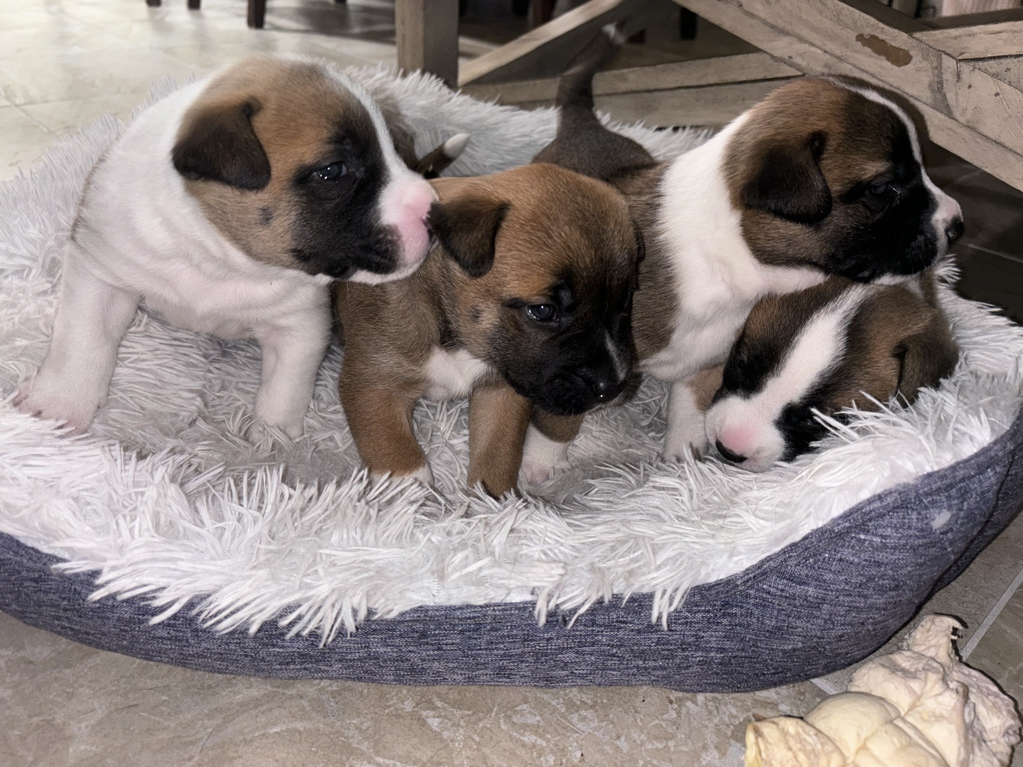 Ruby just became a mom!