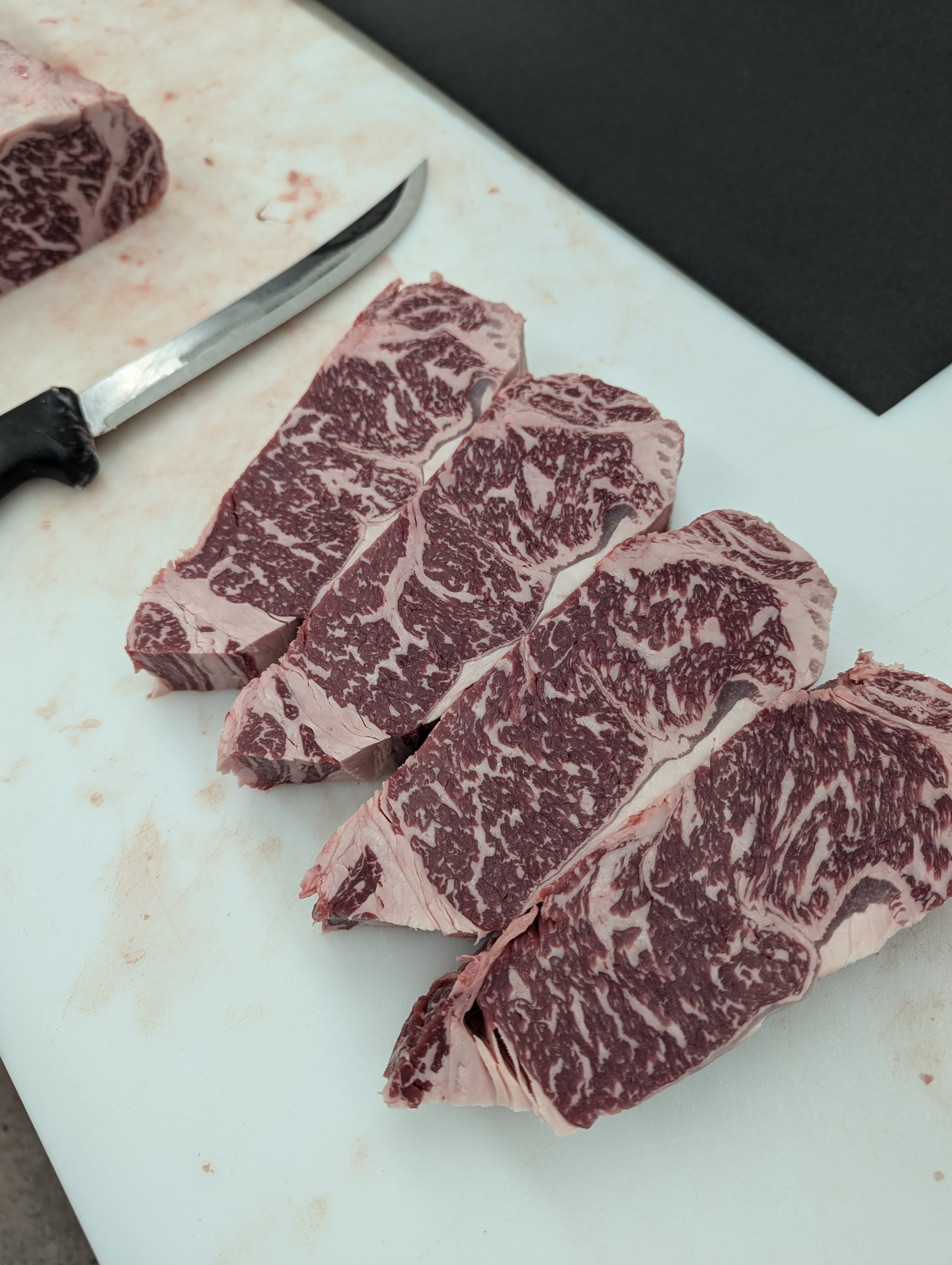 The Meat Chronicles: A Carnivore's Delight