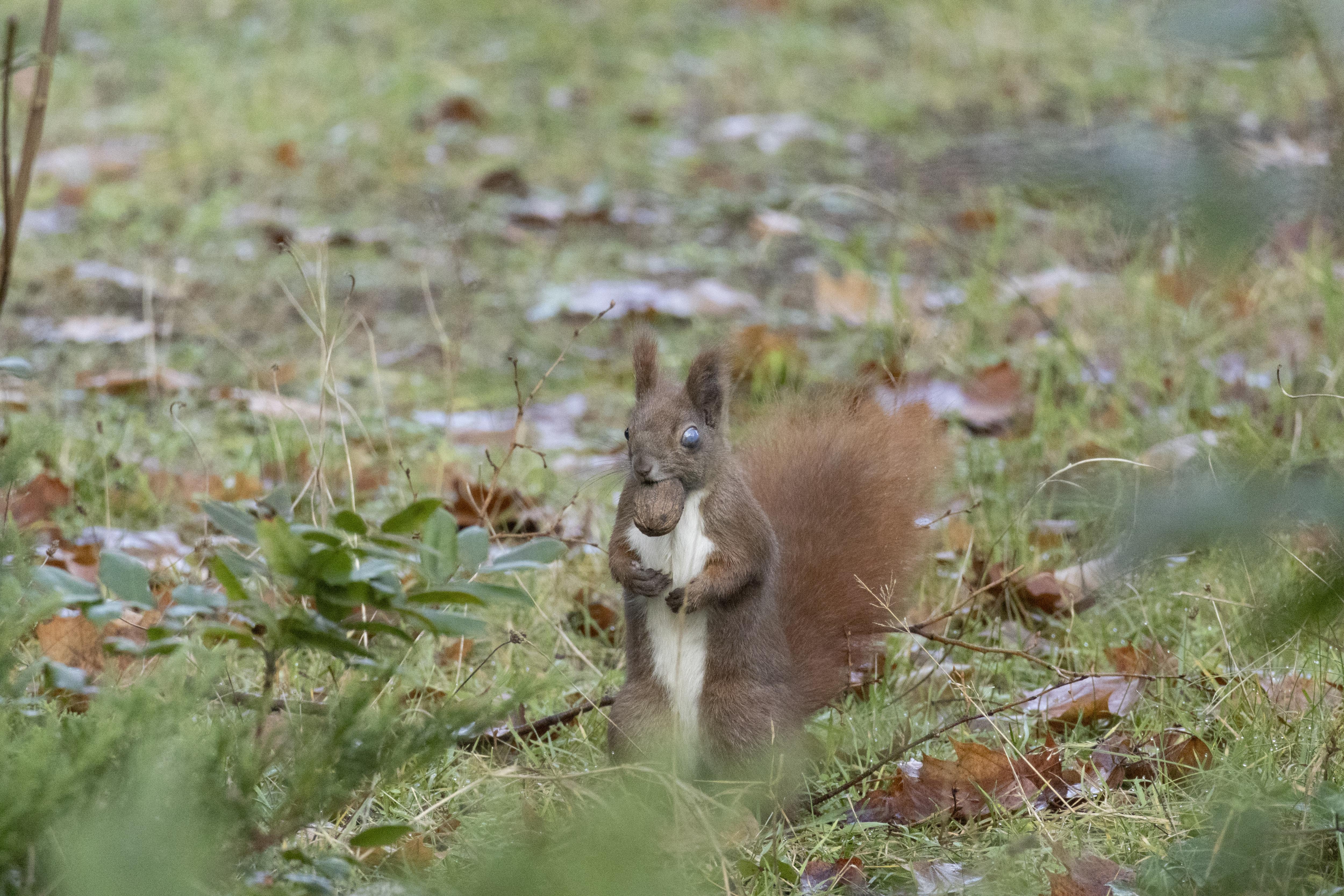 Nature Snapshot of the Day #3 - Join Us or Miss Out!