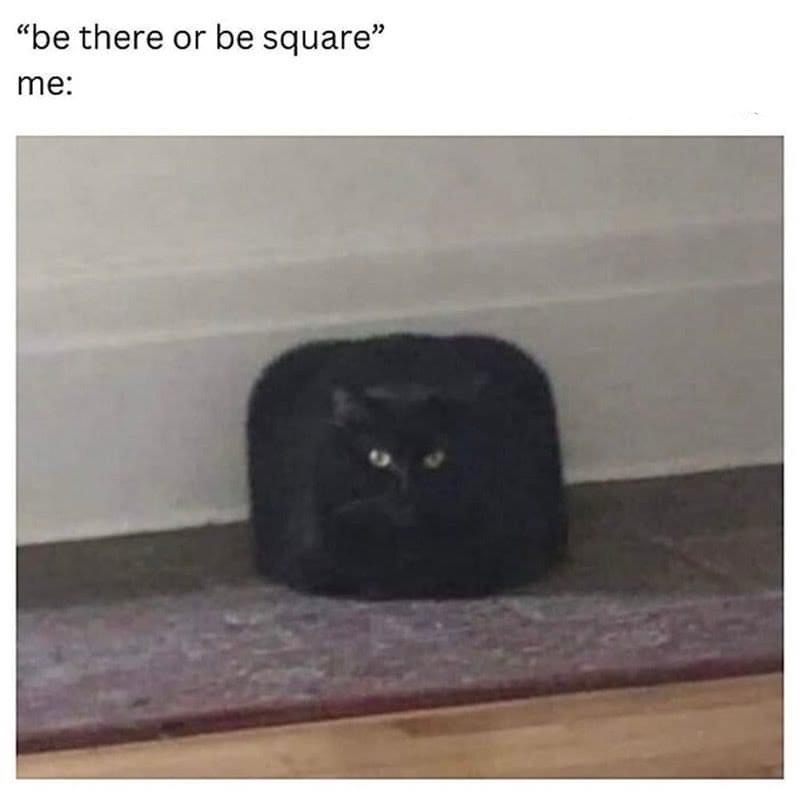 A Generous Collection of Memes for These Challenging Times