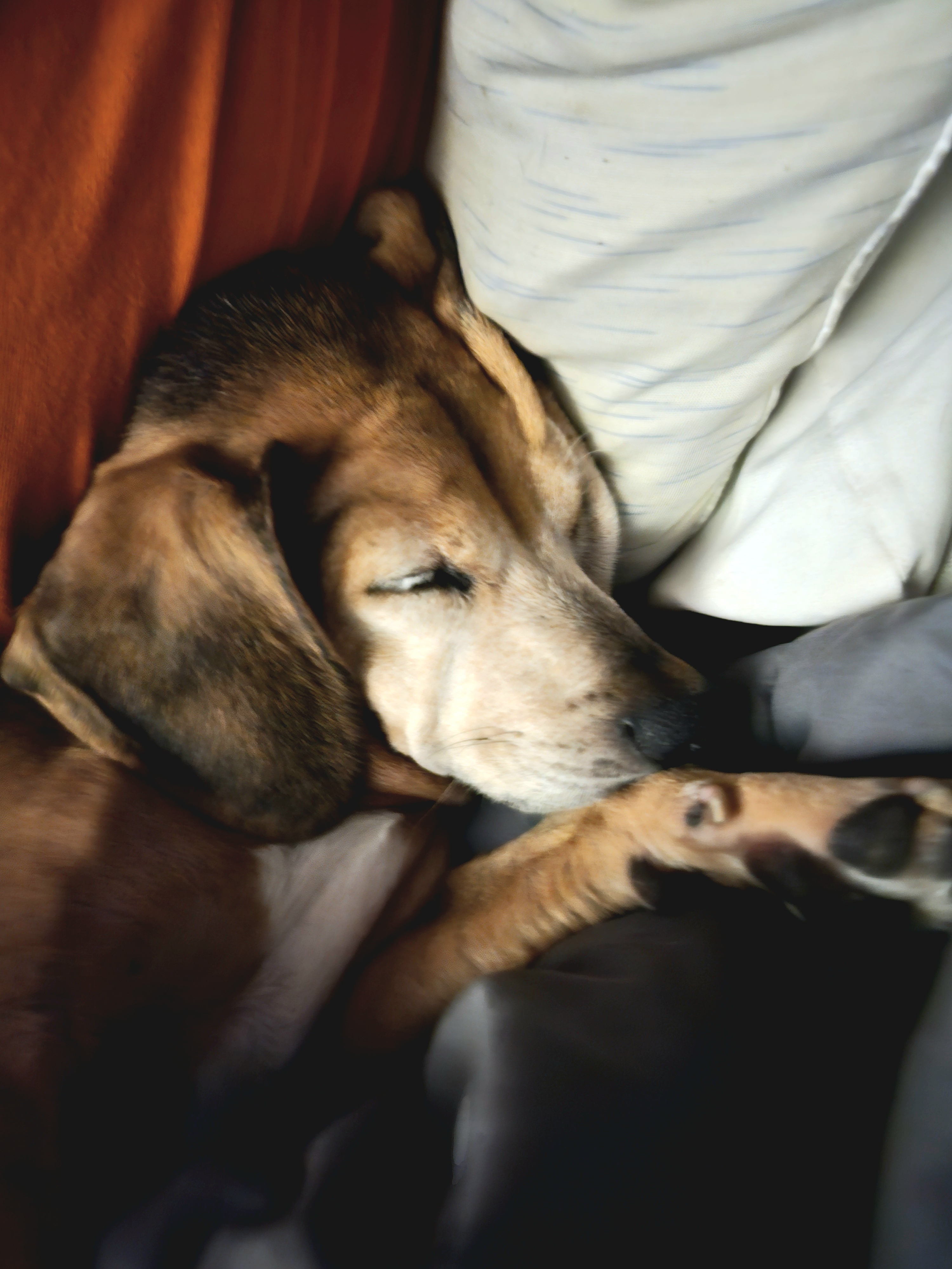 Your Daily Dose of Pepper to Spice Up the Night