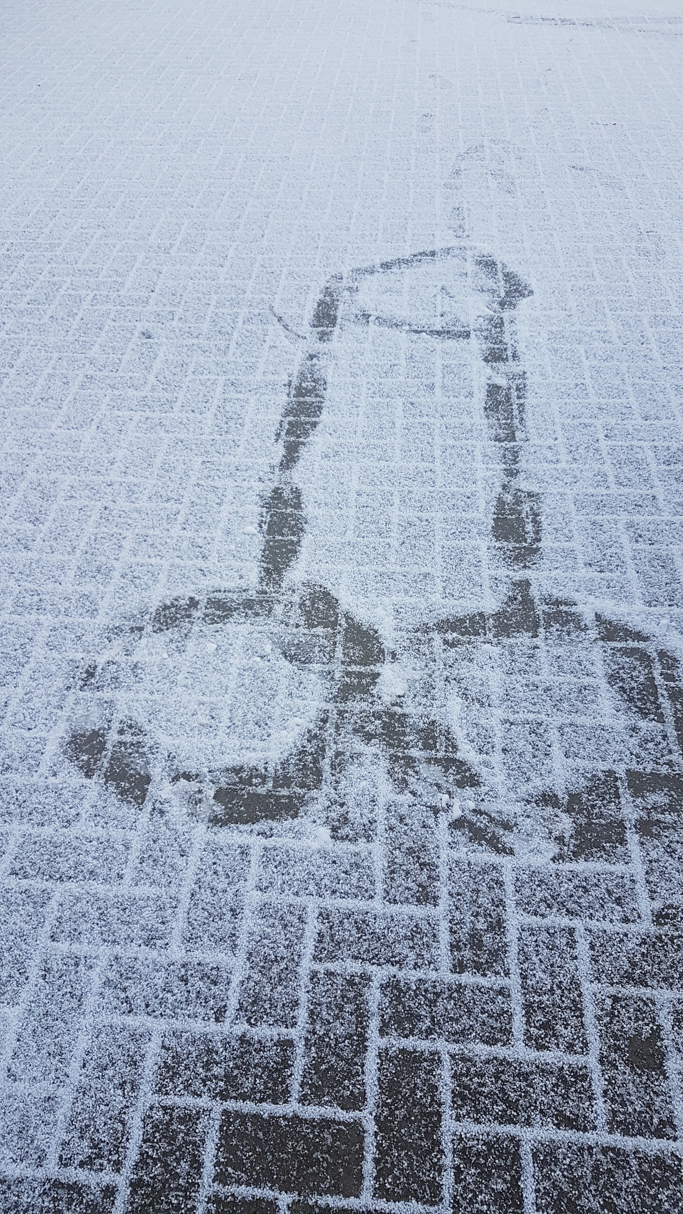 Capturing the Beauty of the First Snow: Winter Art