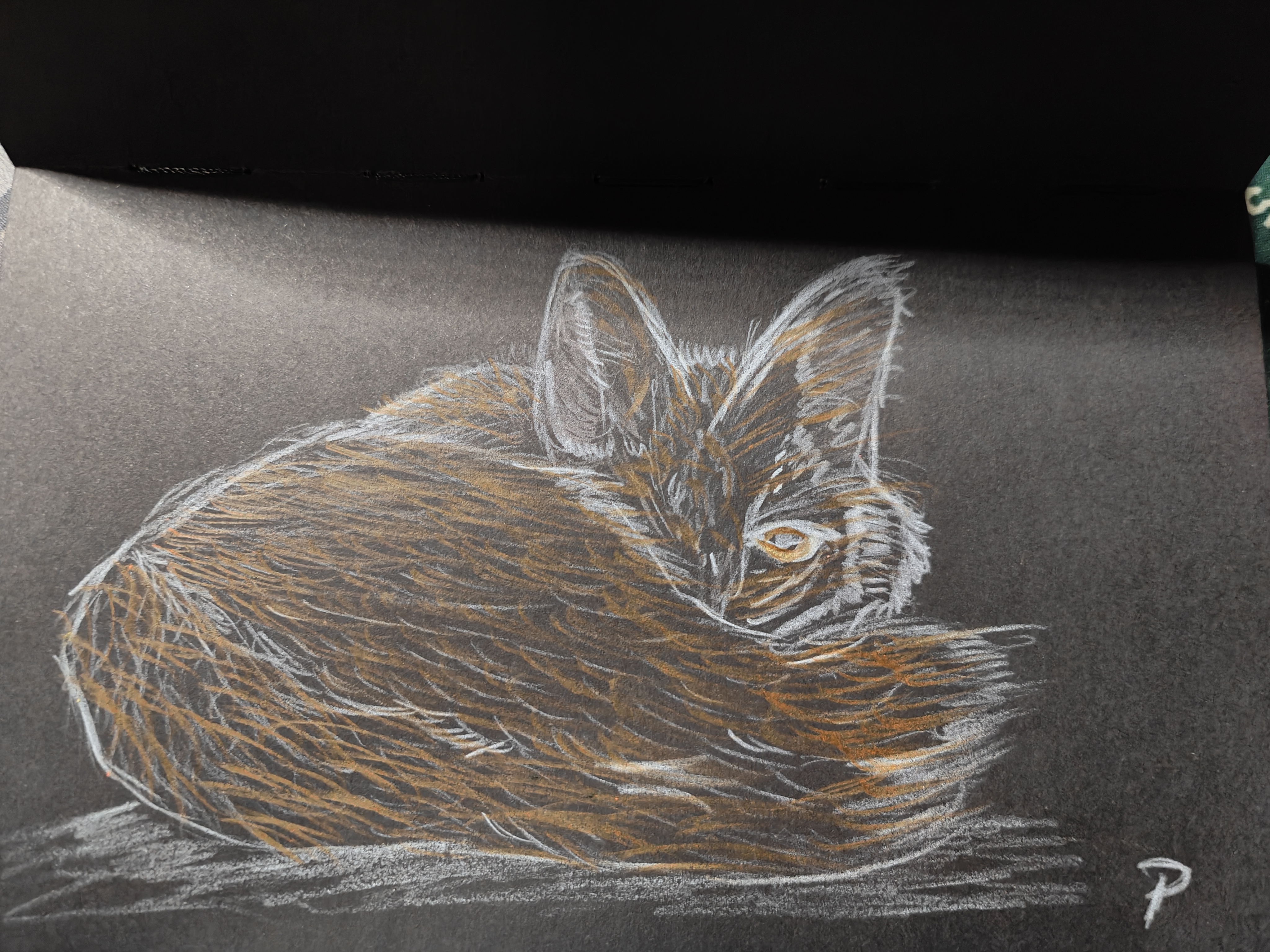 The Charming Fox: Nature's Cunning Beauty
