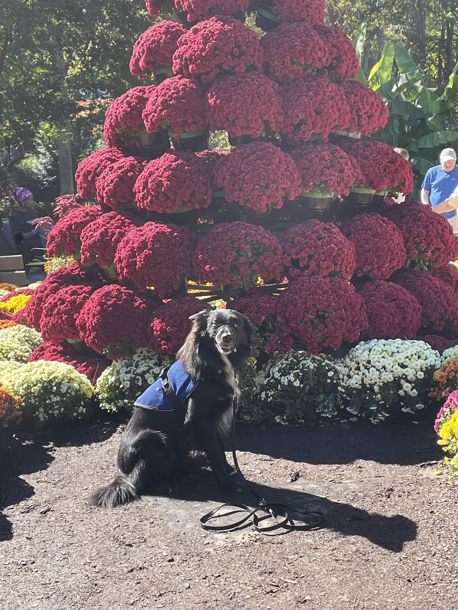 Cap's Adventures at the NC State Fair 2024