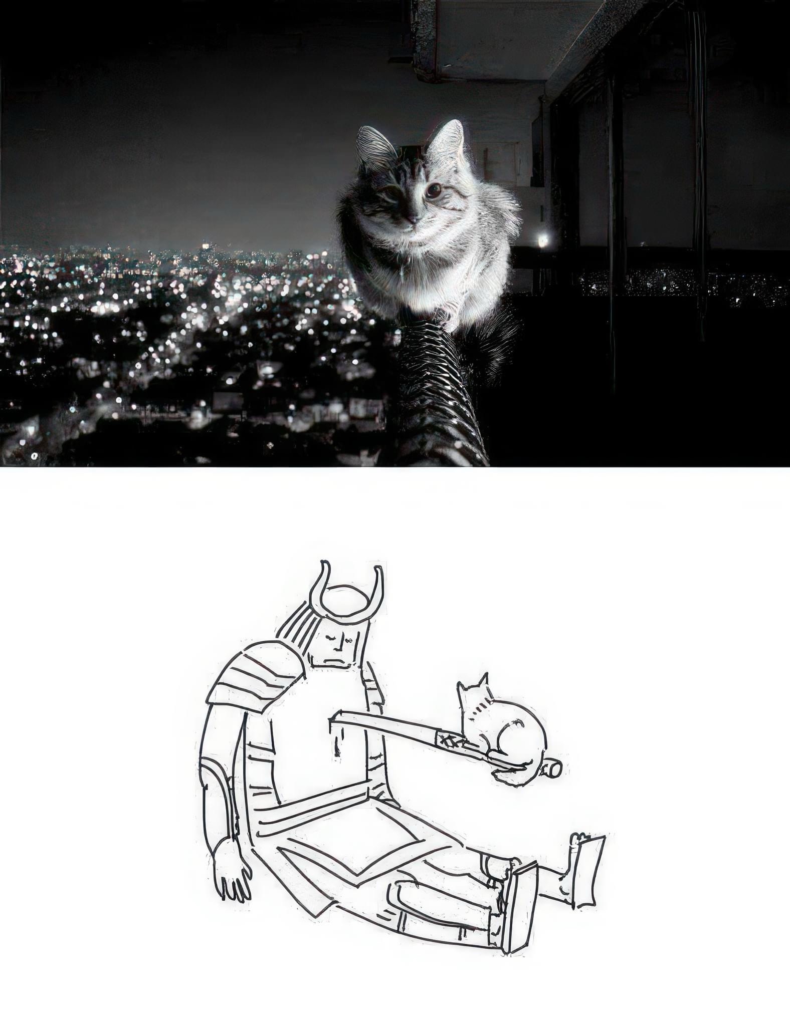 Seeing Things from a Different Angle