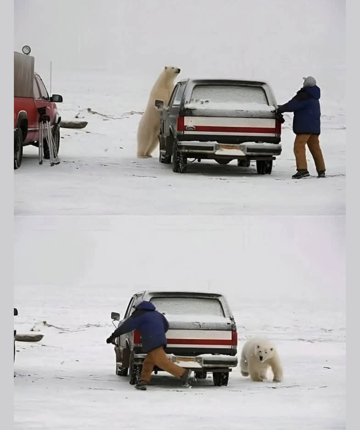 Did You Know? It's Considered Polite to Leave Car Doors Open in Churchill, Canada for a Good Reason