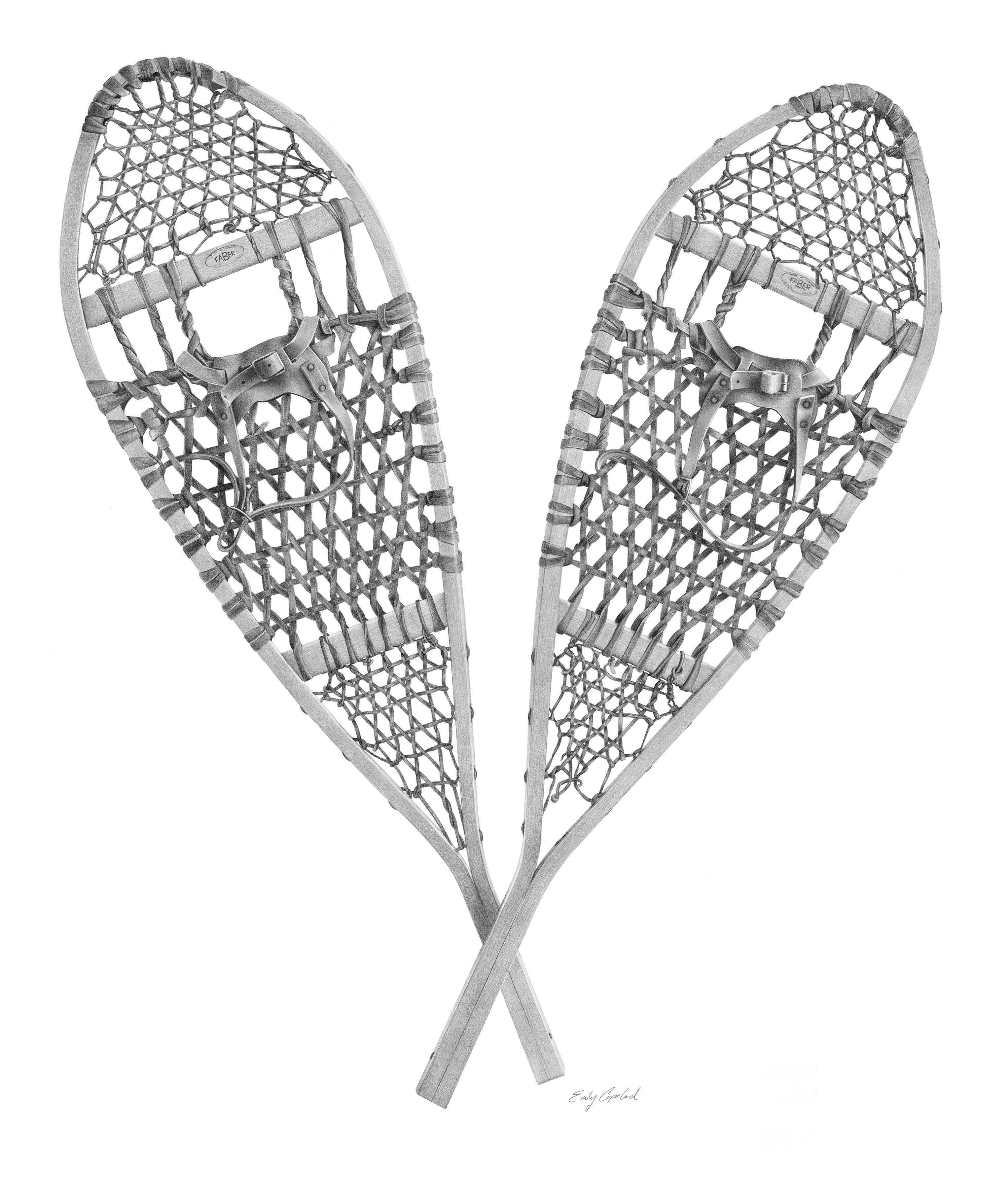 A Vintage Illustration of Classic Snowshoes