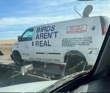The Great Bird Conspiracy: Why Birds Aren't Real