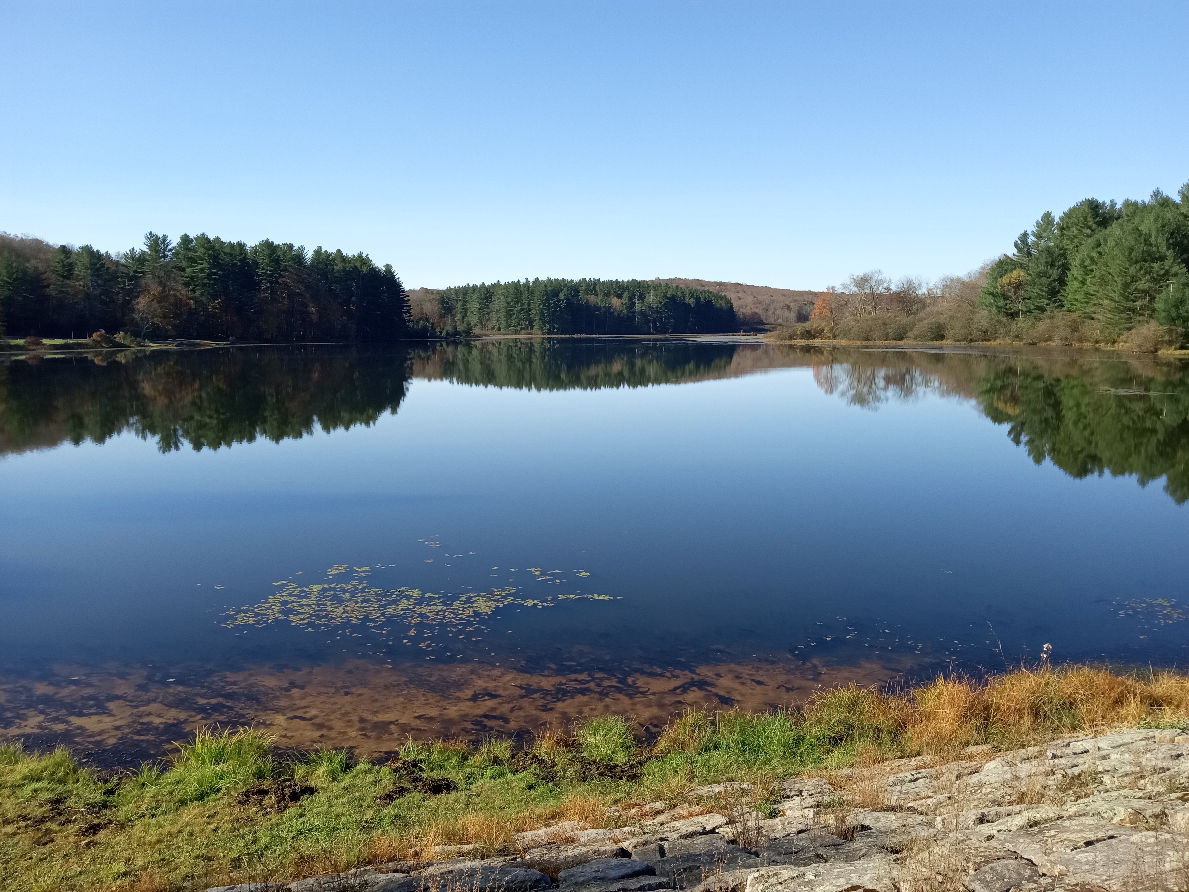 Exploring Herrington Manor State Park - Oakland, MD - 18 October 2024