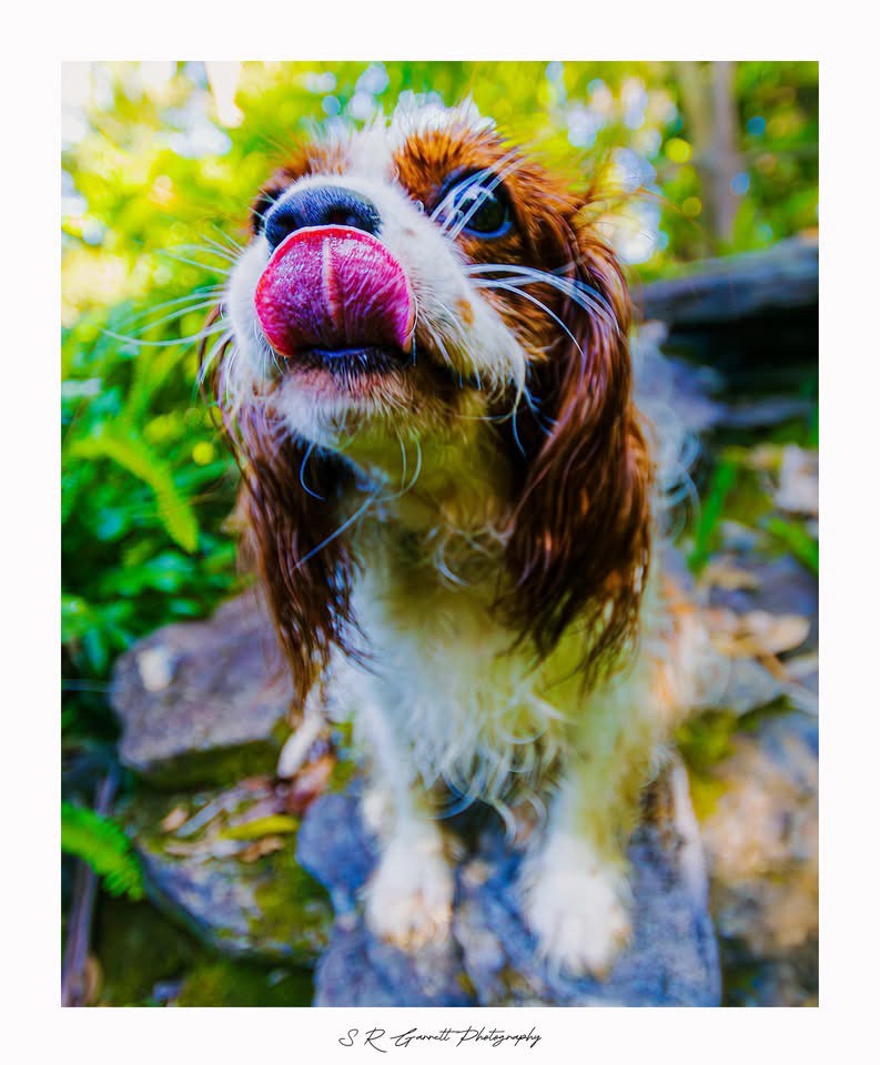 Here's Ella again, stealing the spotlight!