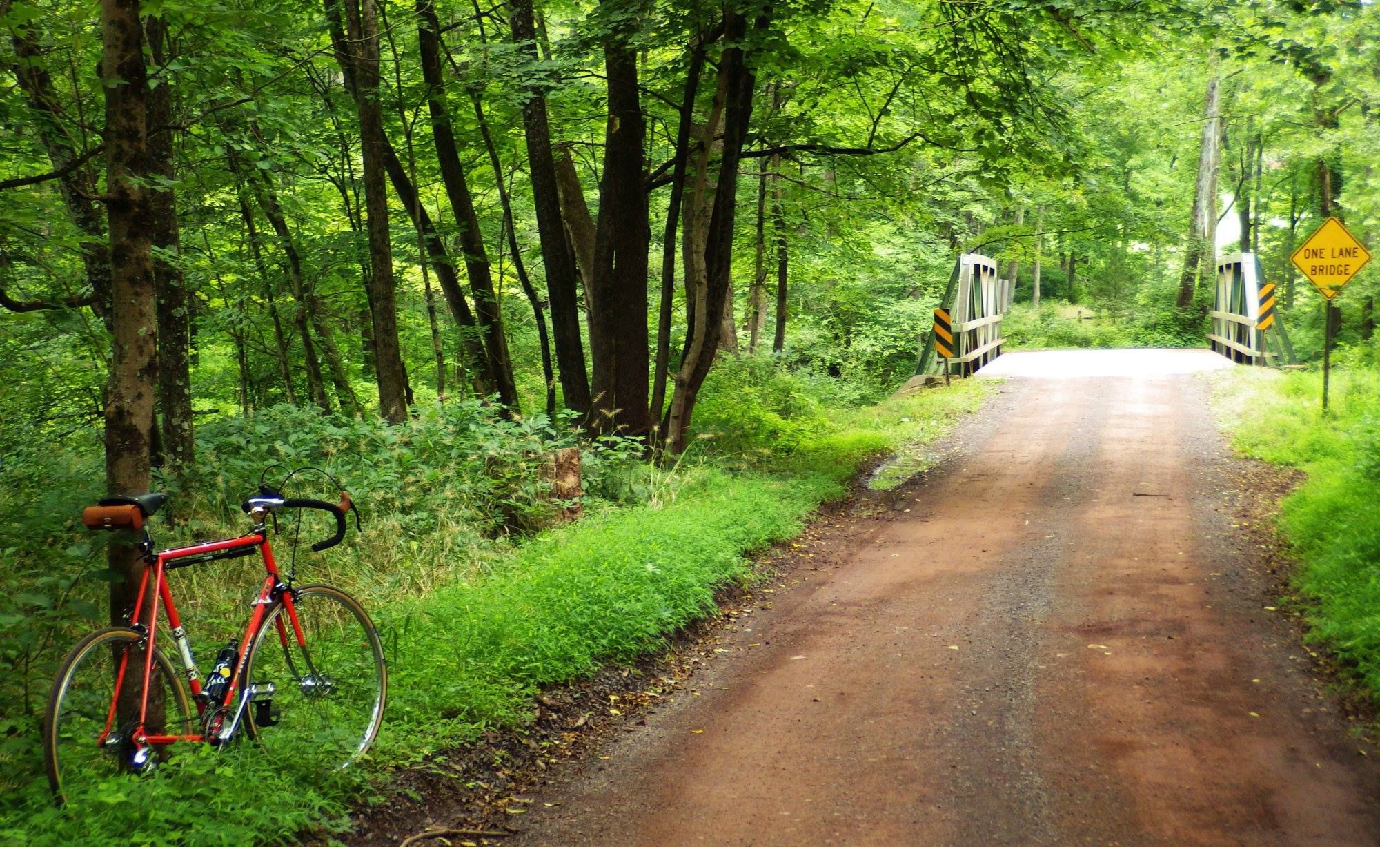 The Lush Greenery of My Holler