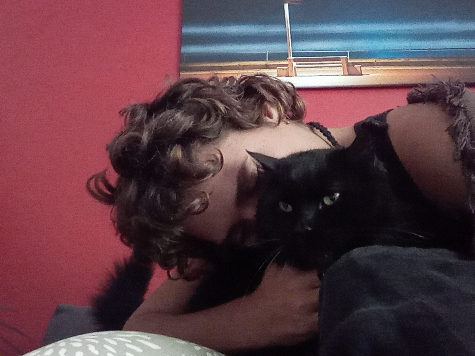 My Precious Baby Has Crossed the Rainbow Bridge...
