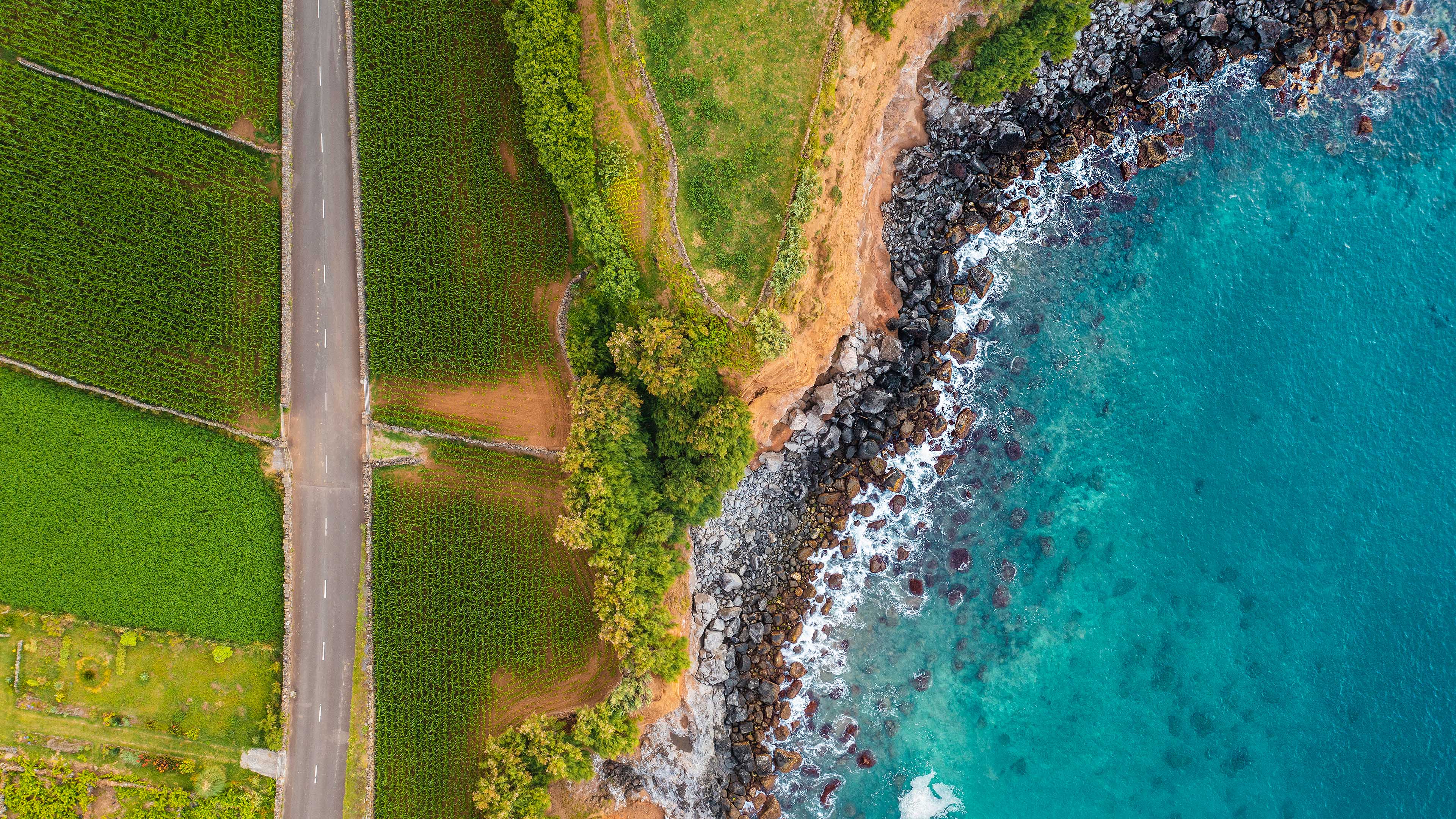 Soaring High Above the Azores