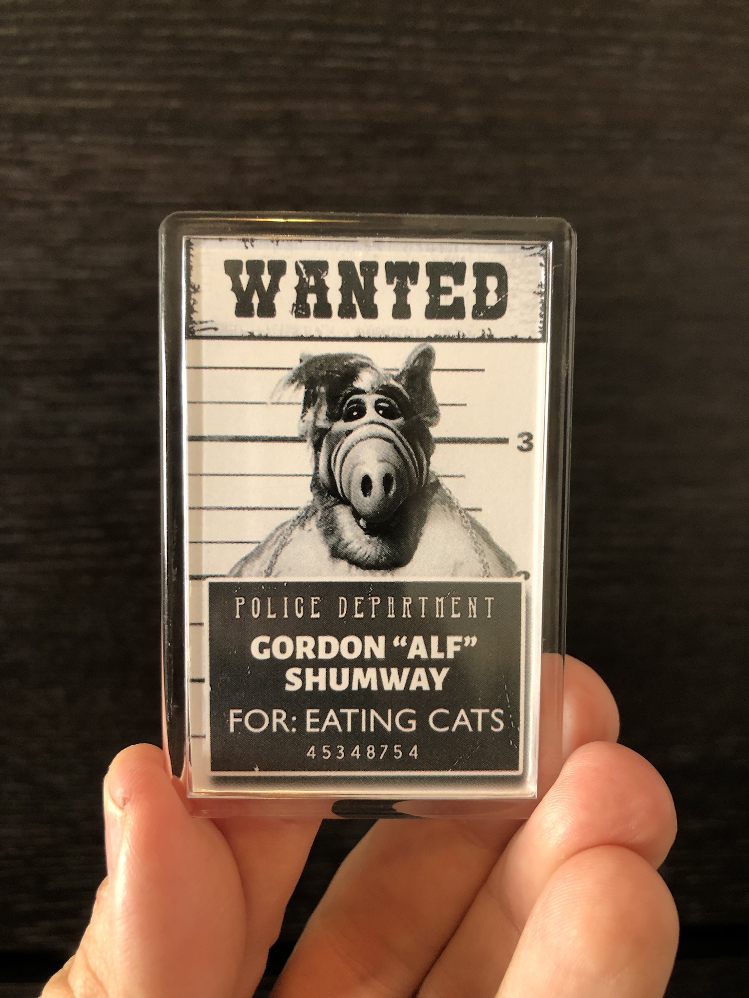 The Cat-Eating Alien: A Purrplexing Encounter