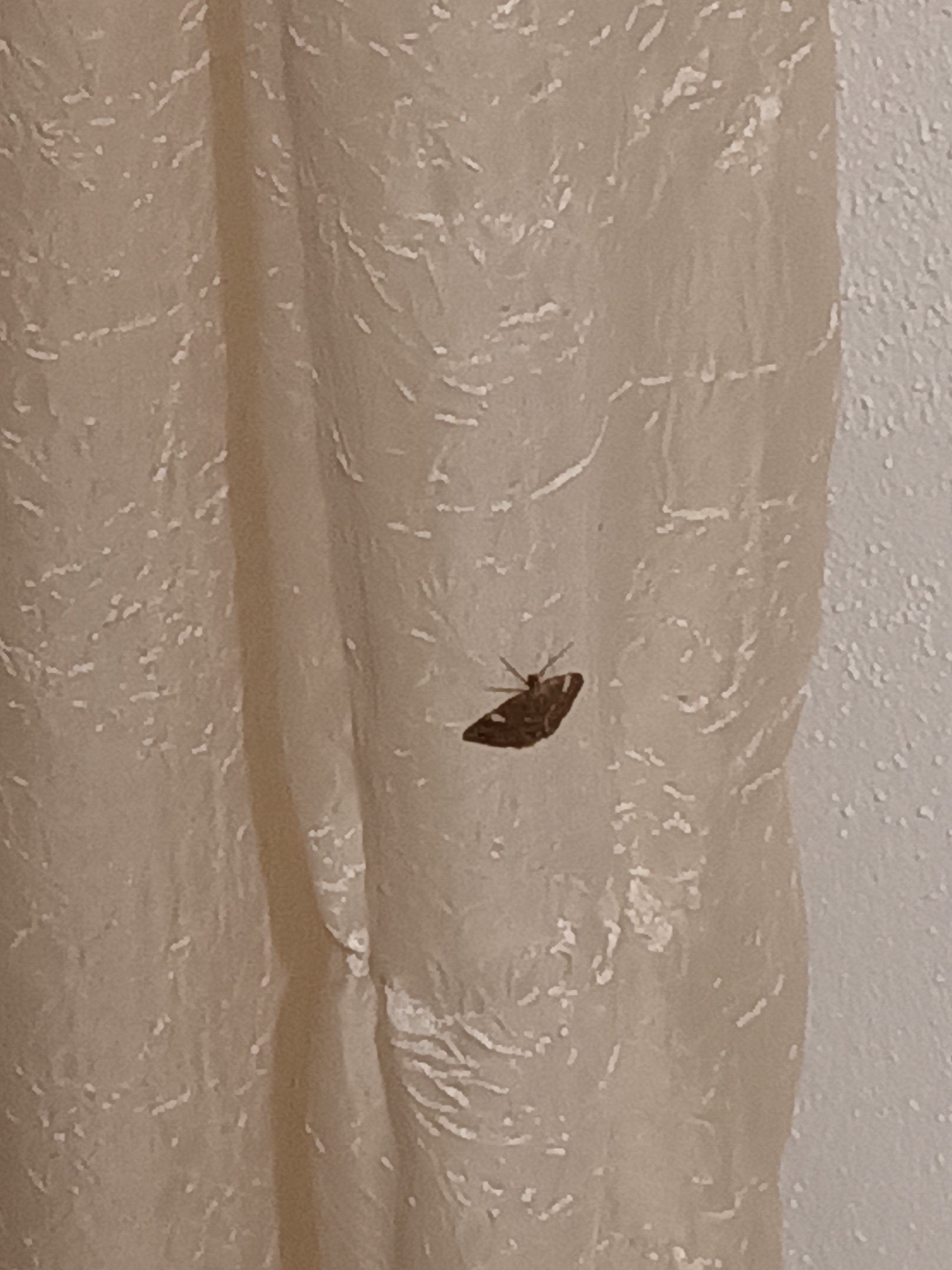 Behind the curtain lies the truth.