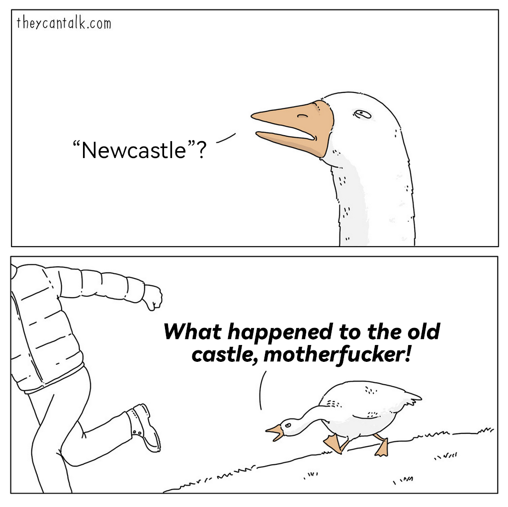 What really happened to the mysterious old castle?