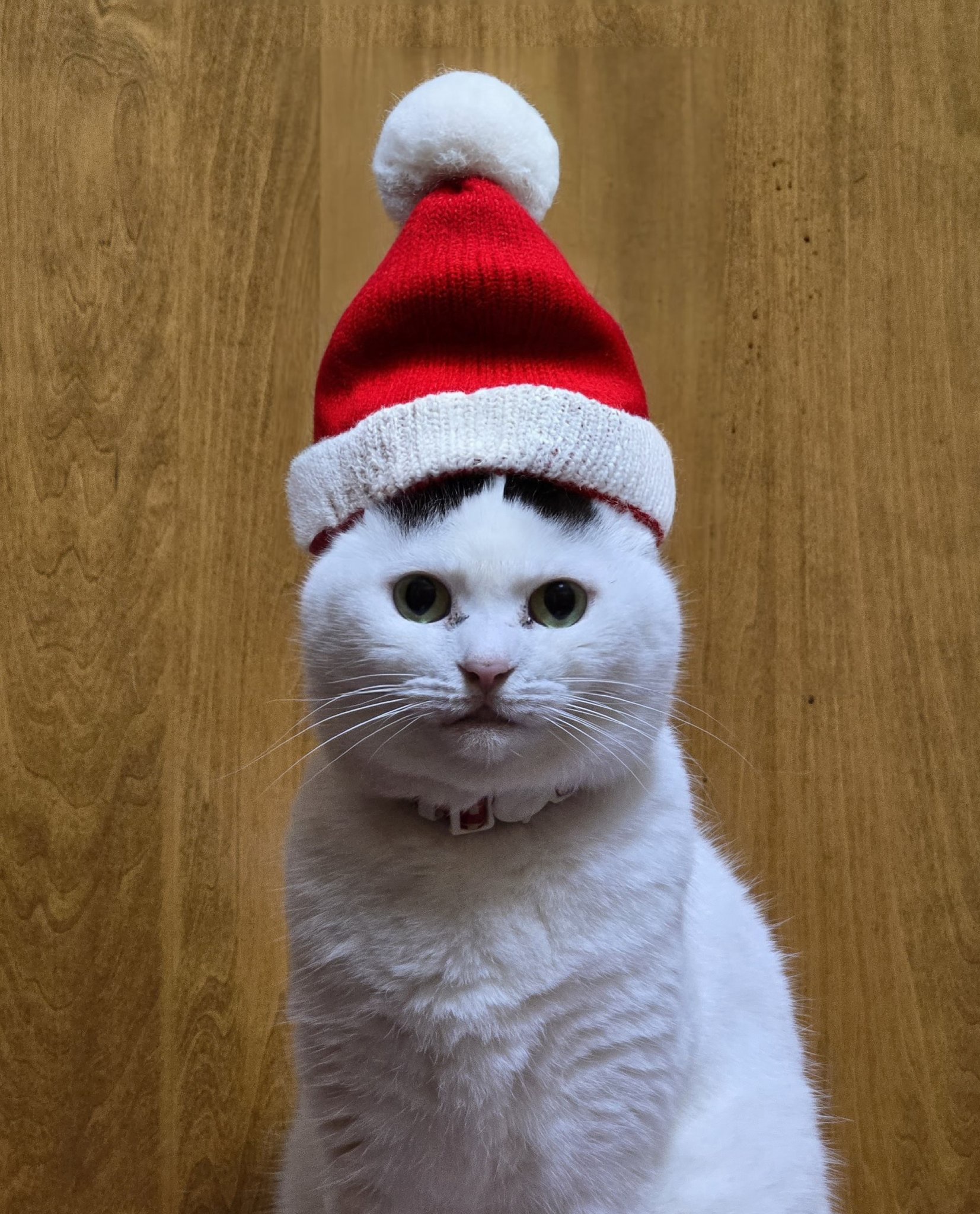Wishing you a Merry Christmas filled with joy!