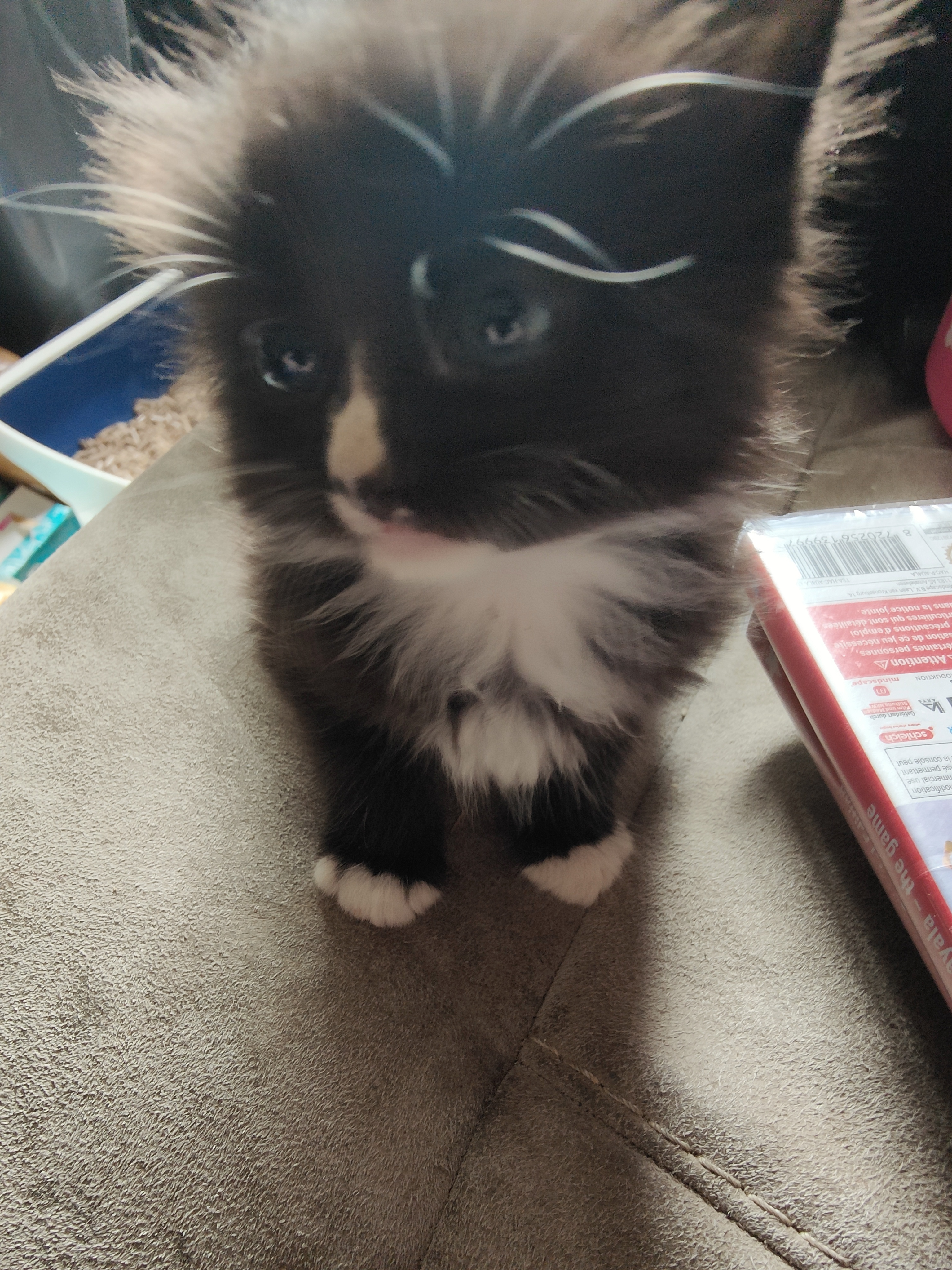 Sammy Through the Years: From Baby to Adult