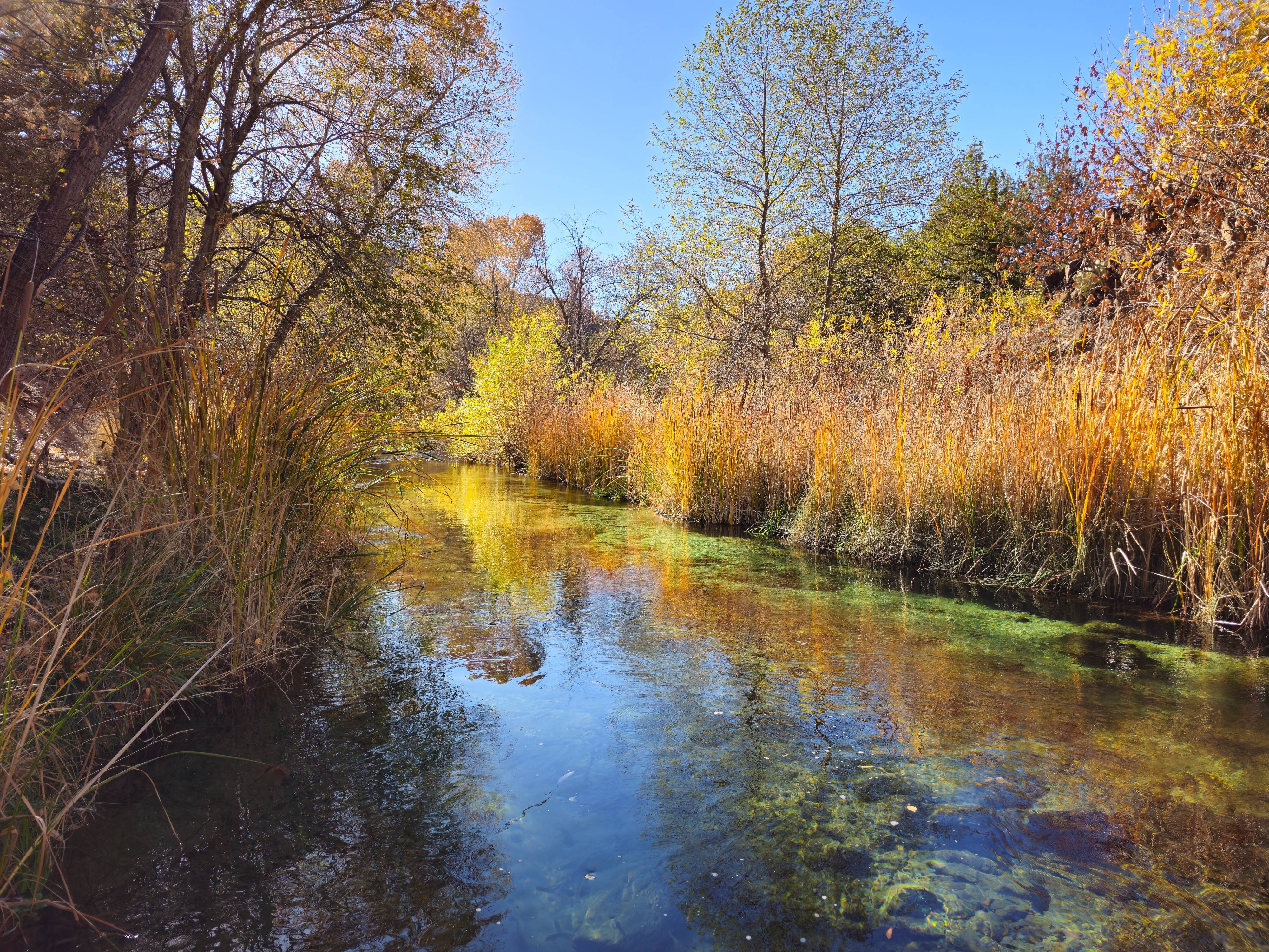 Discovering the Beauty of Dixon Lewis Trail at Fossil Creek, Arizona - Part 1