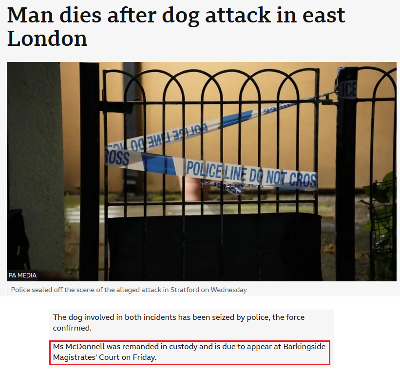 Is She Facing Justice from Humans or Dogs?