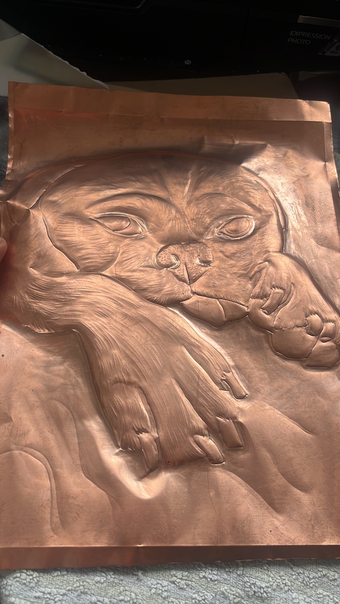 Captivating Image of Jackson the Jug Copper