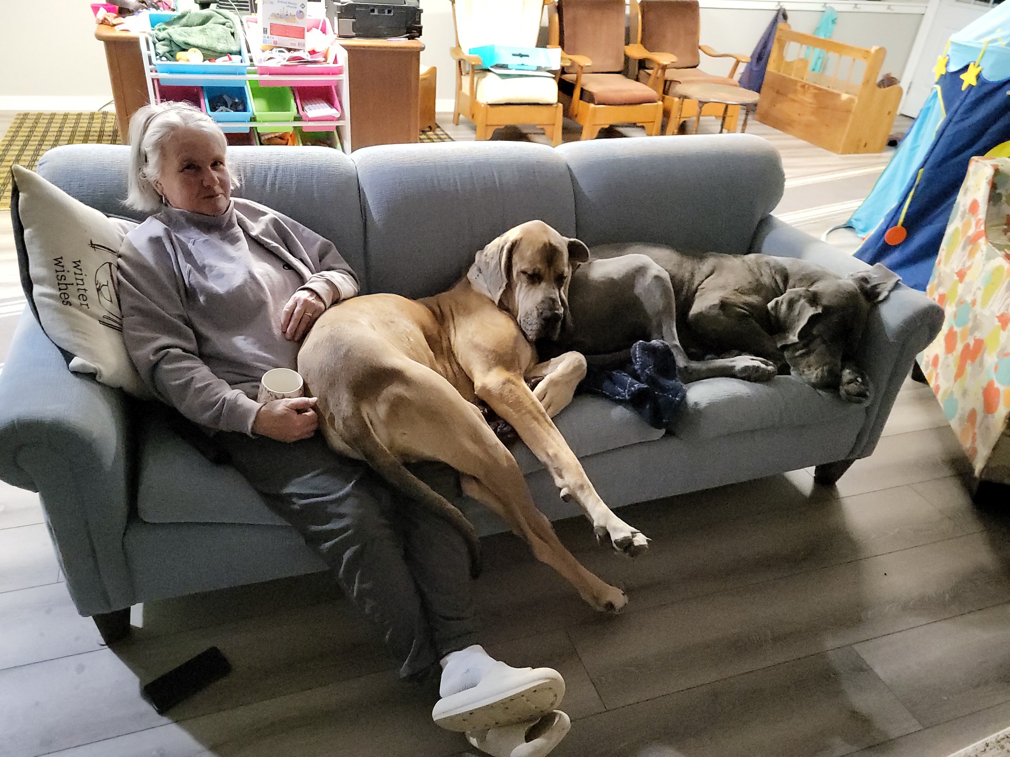 Mom's Rule: No Dogs Allowed on the Couch!