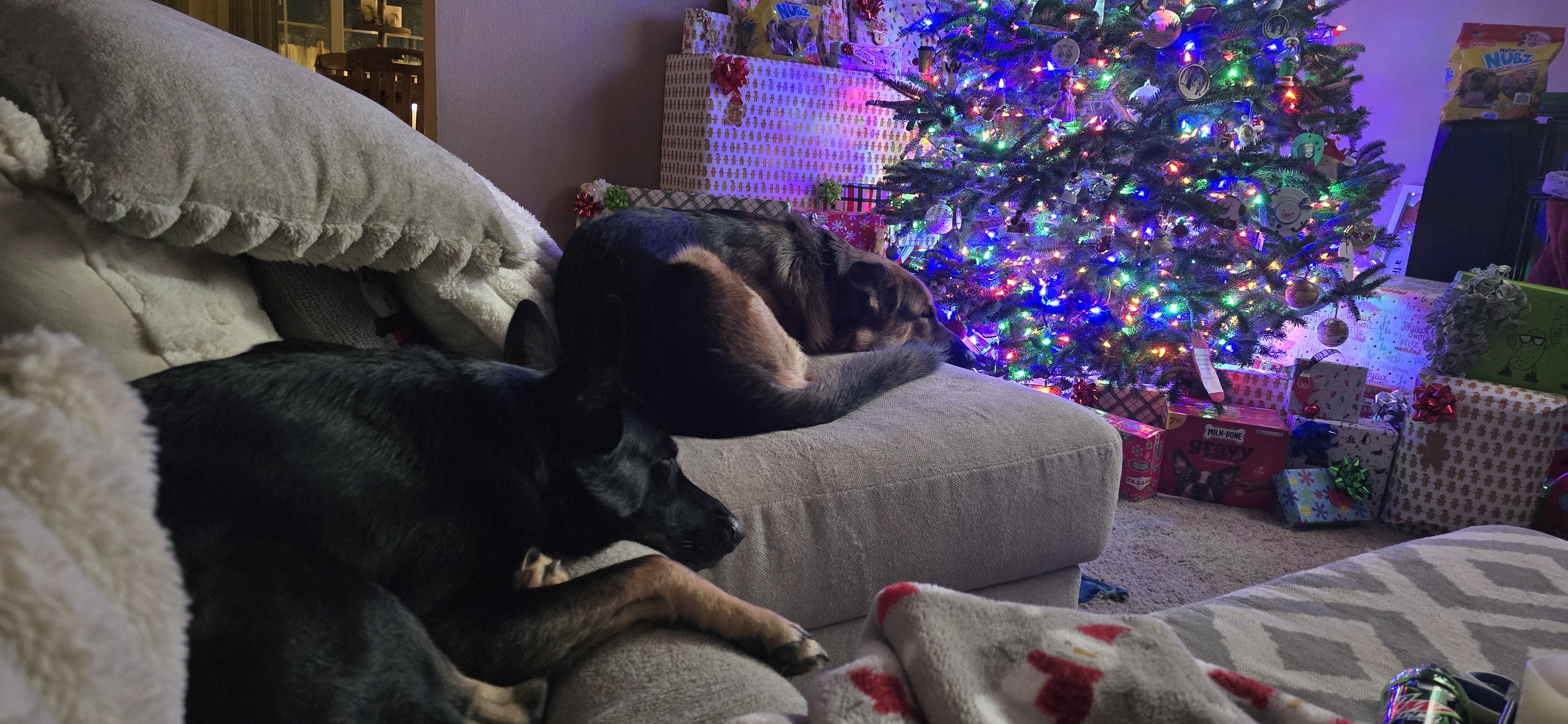 A festive poem for you: 'Twas the night before Christmas... Merry Christmas from Thor and Loki!
