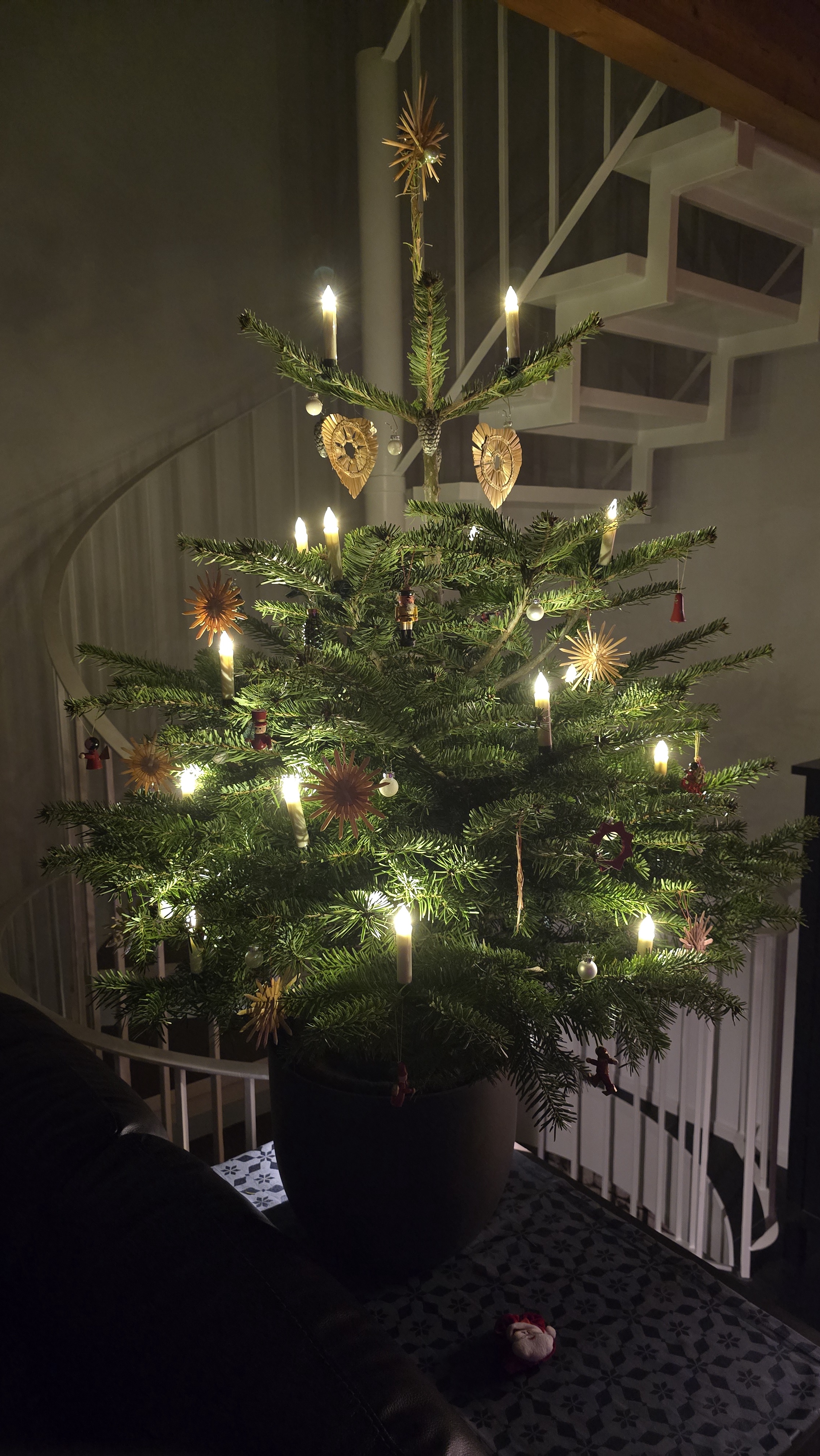 After Years Without a Tree, Here Comes the Trophy!