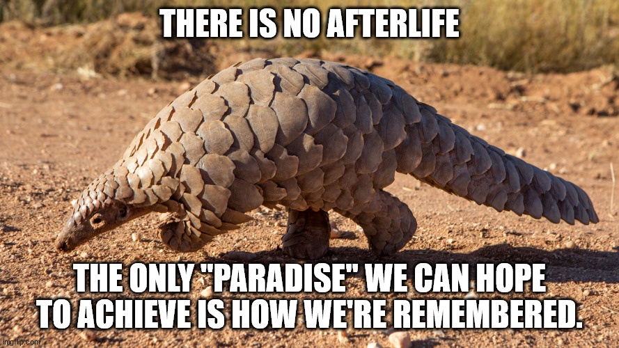 The Ongoing Saga of Popular Opinion: Pangolin Edition!