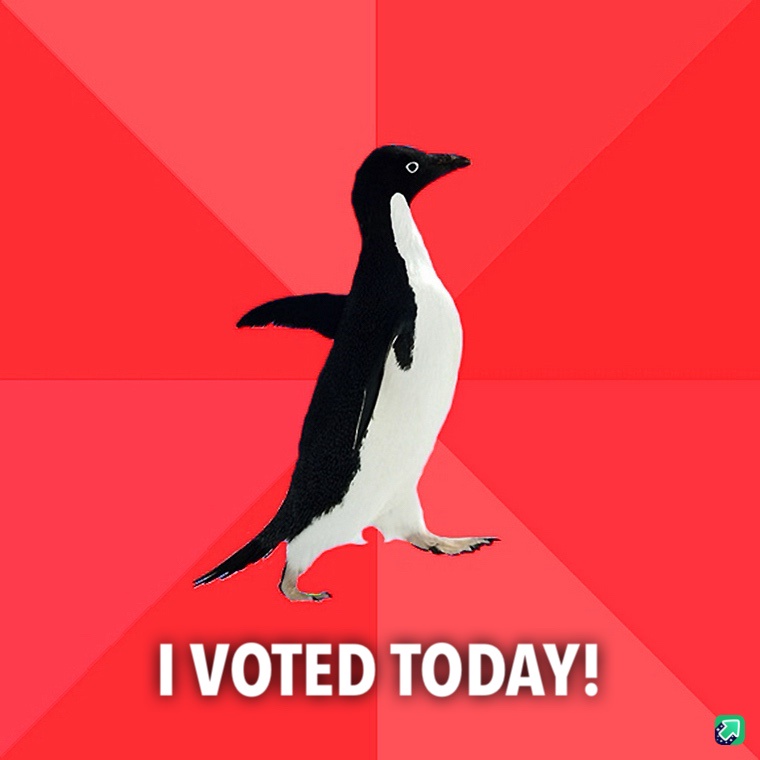 Make Your Voice Heard: Go Vote!