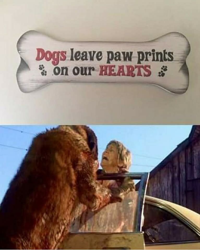The Legendary Cujo