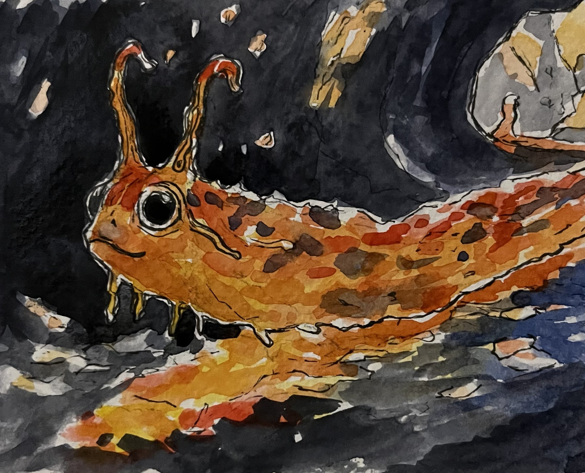 Meet the adorable tiny magma slug!
