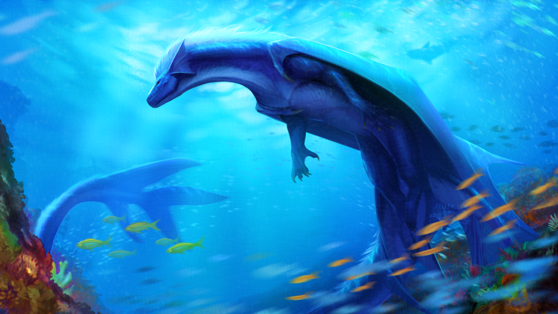 Diving into the wonders of the reef