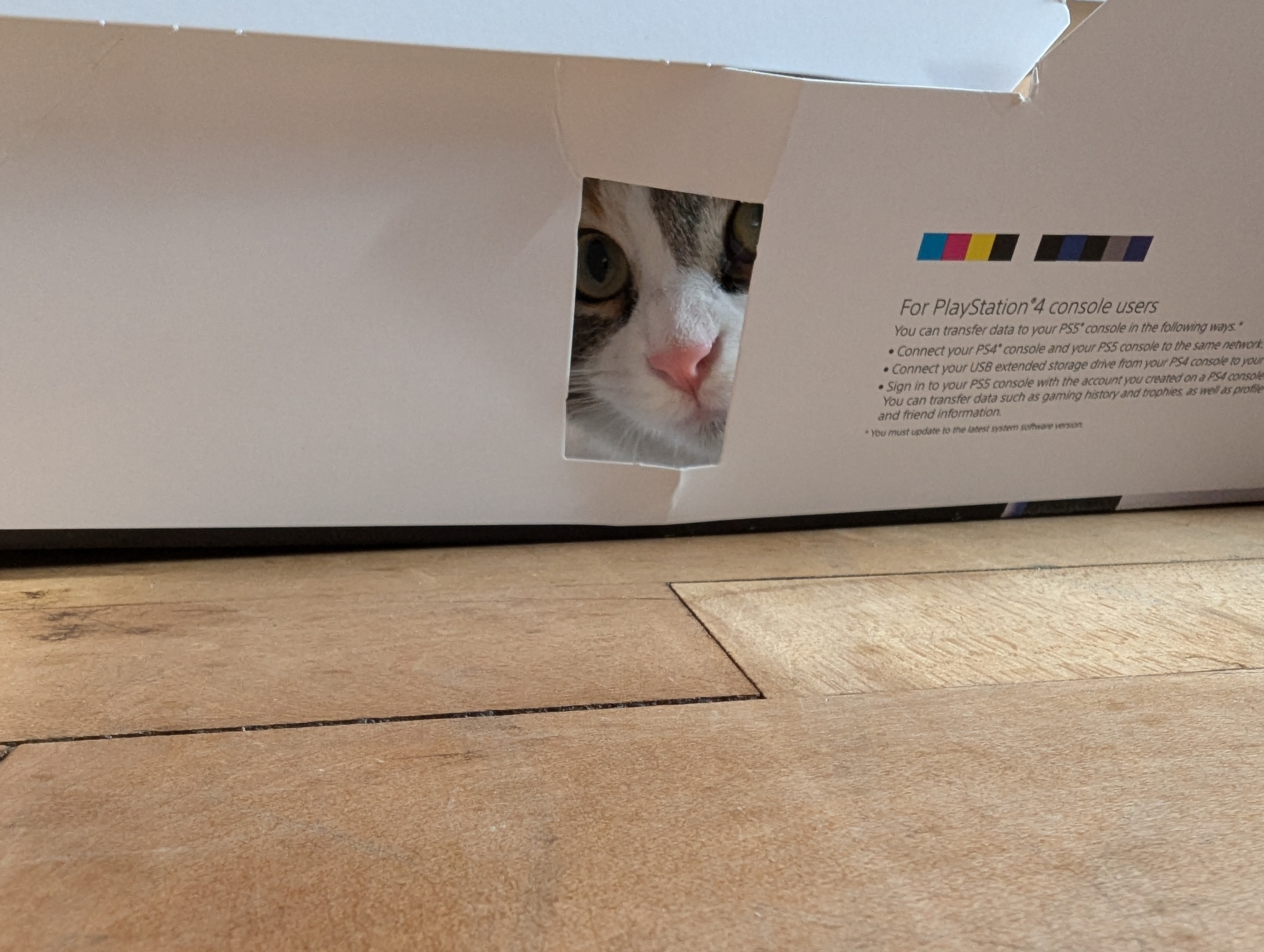 The Mysterious Box: What Lies Within?
