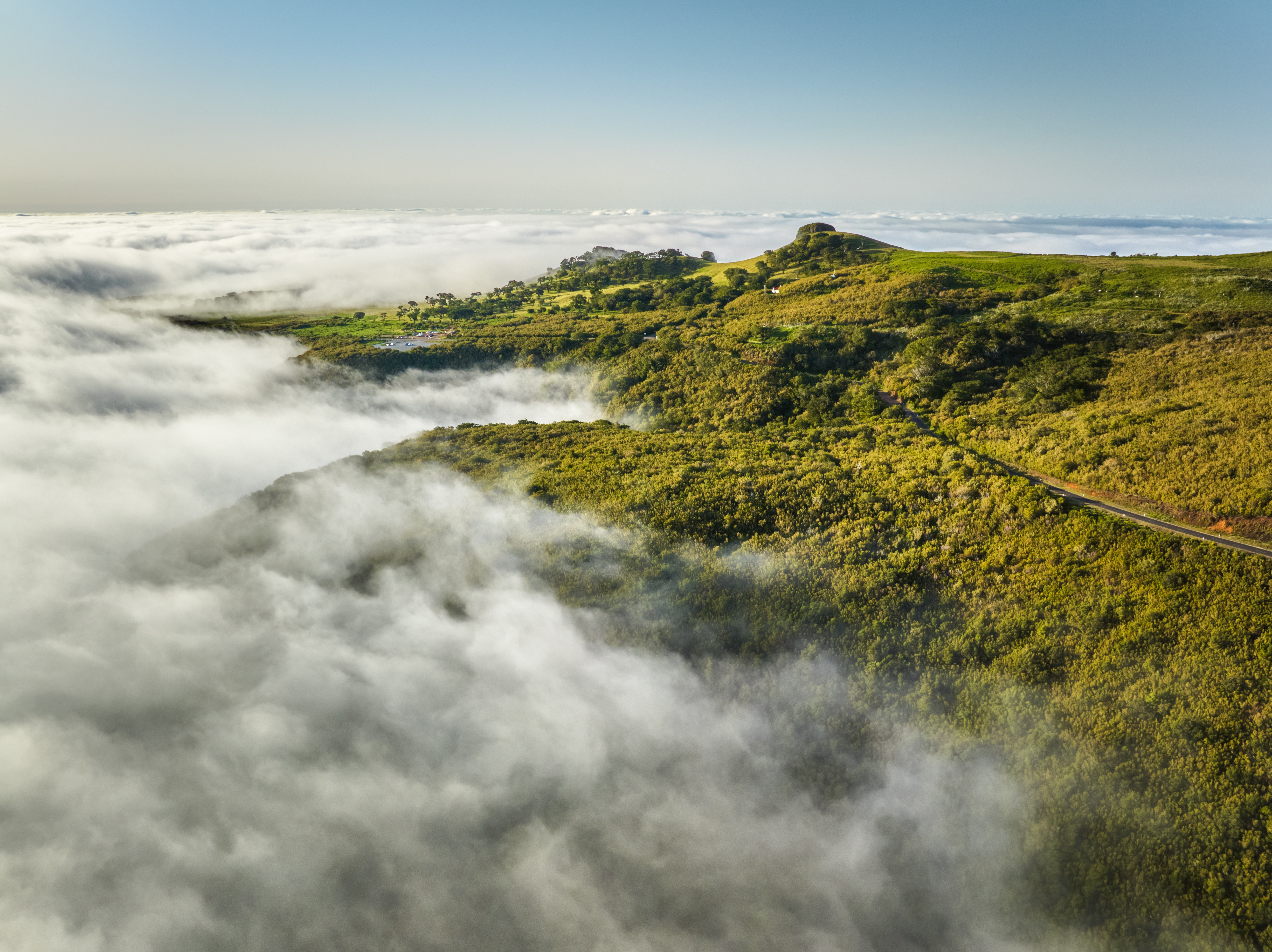 A Mysterious Fog Envelops the Scene