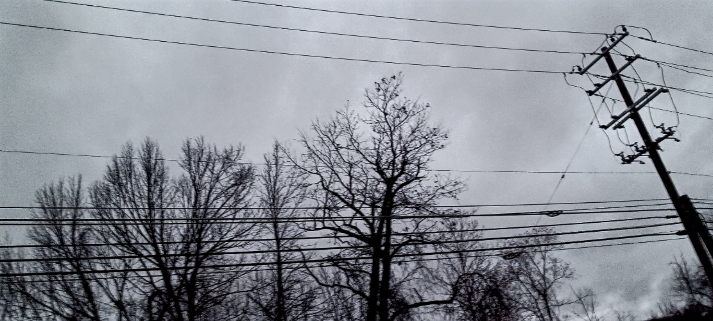 A Glimpse from Yesterday's Car Window