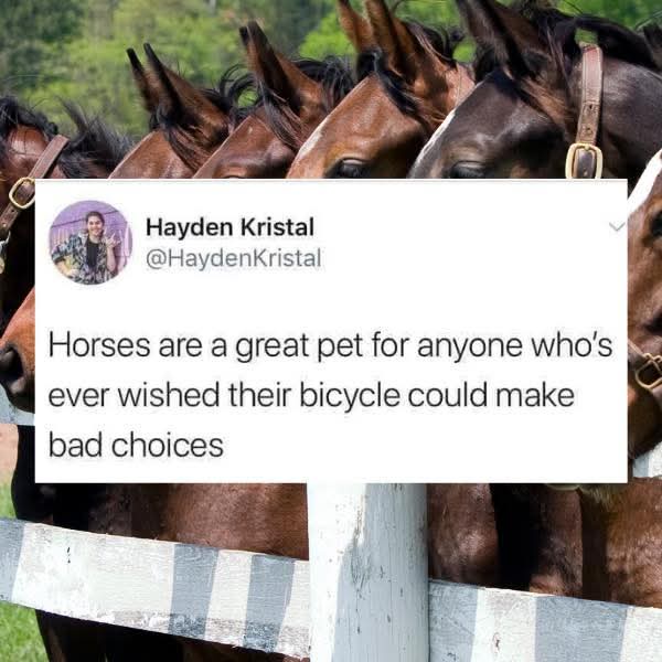 The Classic Neigh!