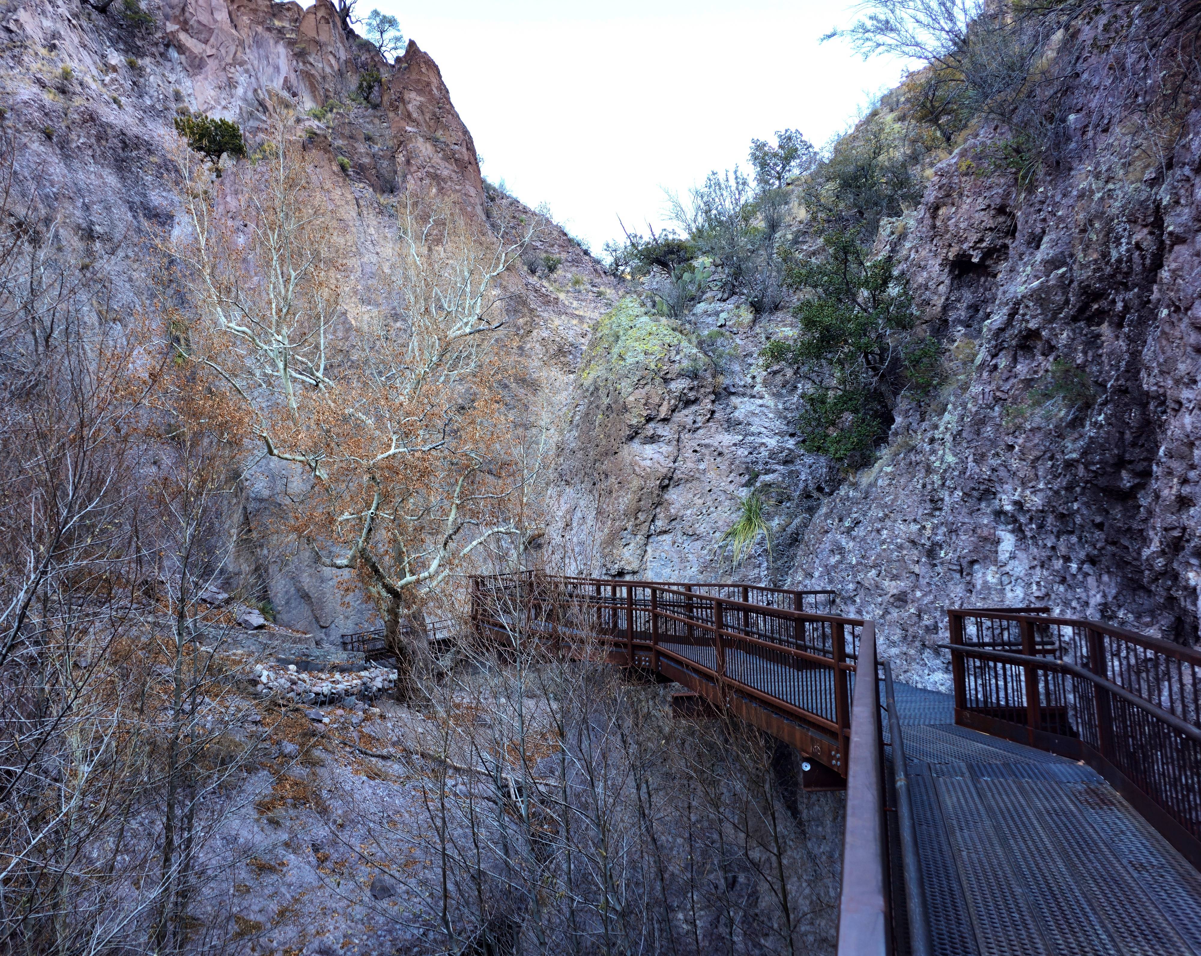 Exploring the Catwalk Recreation Area in Gila National Forest, New Mexico